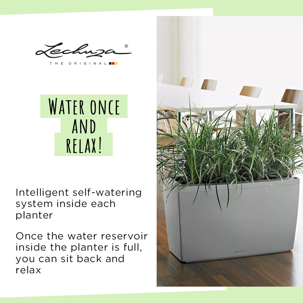 LECHUZA CARARO Trough Poly Resin Self-watering Planter