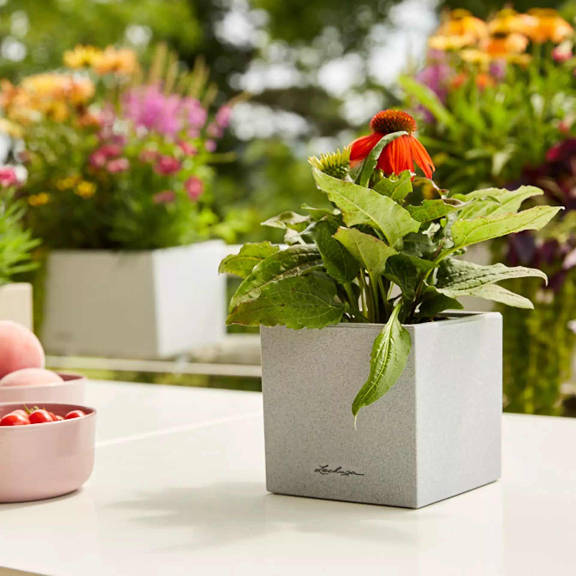 LECHUZA CANTO Stone Square Poly Resin Indoor Self-watering Planter