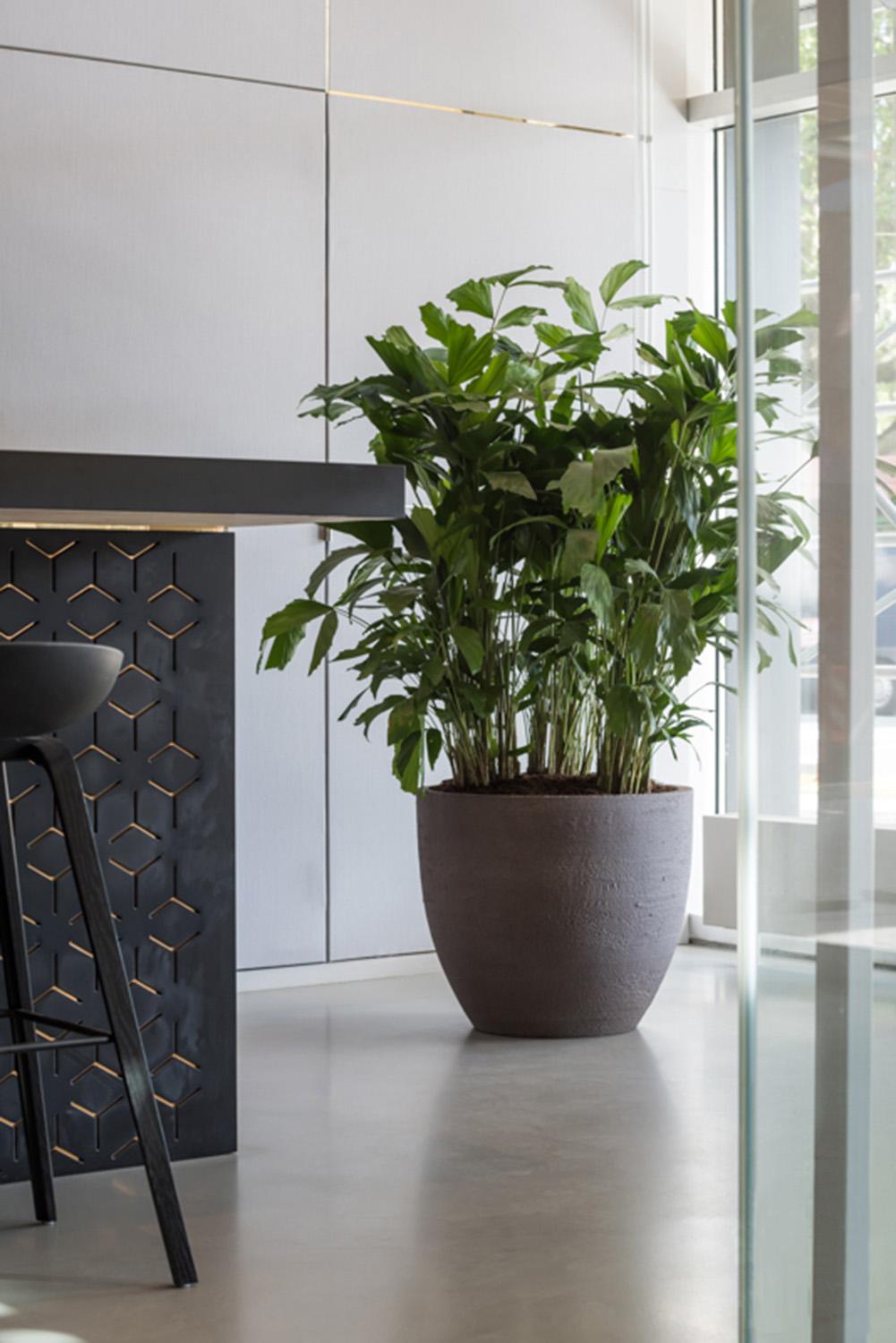 Fibrestone Jesslyn Round Planter by Idealist Premium