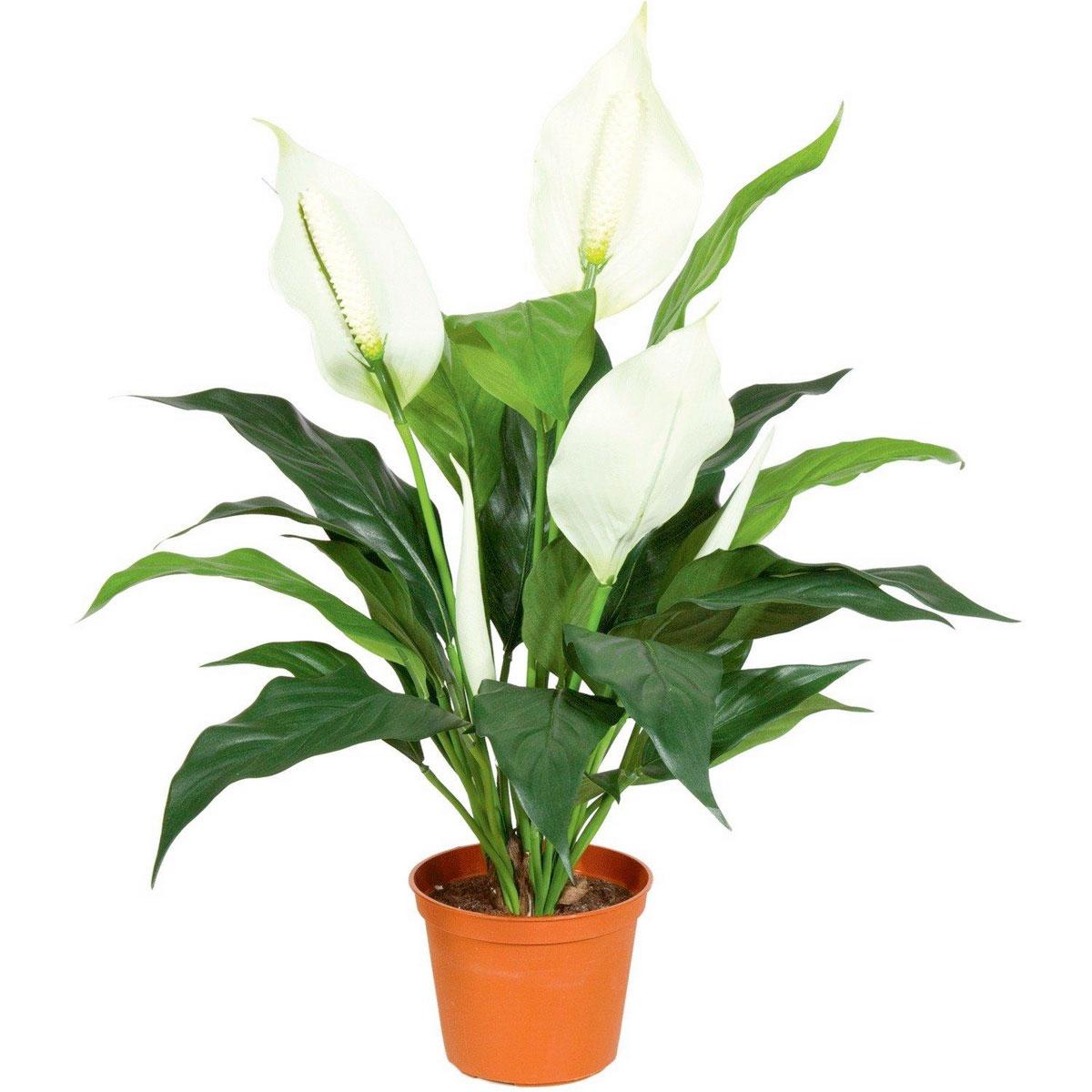 SPATHIPHYLLUM DELUXE Artificial Flower Plant