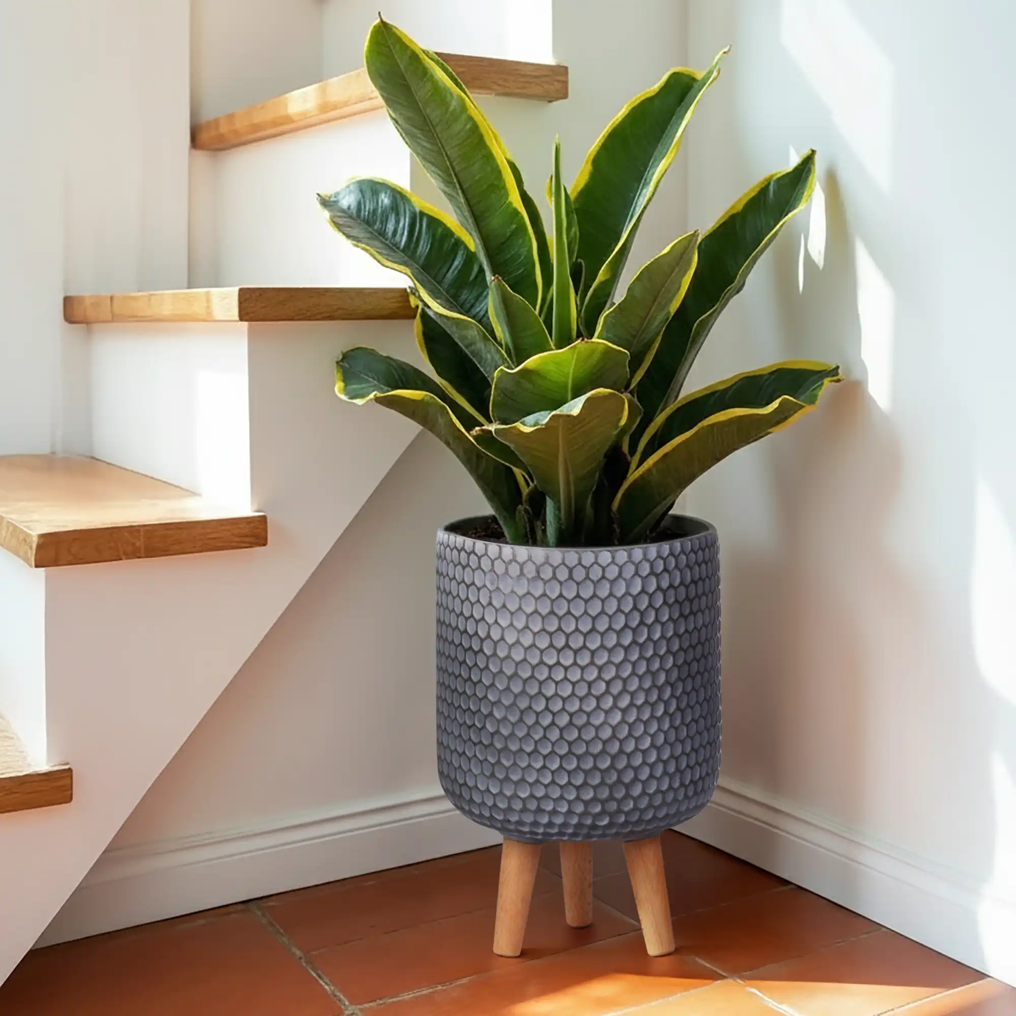 IDEALIST Lite Honeycomb Style Grey Cylinder Planter on Legs, Round Pot Plant  Stand Indoor D21 H34 cm, 9.1L - from 36.89 | Getpotted.com