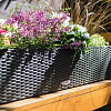 Trough Planters Buying Guide