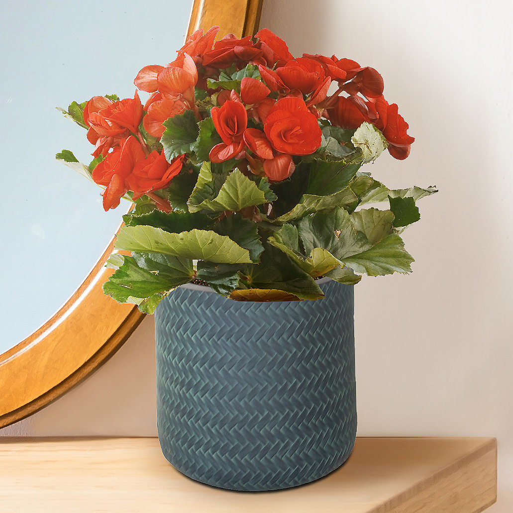 IDEALIST Lite Plaited Style Table and Hanging Cylinder Round Plant Pot Dual Use Indoor Planter