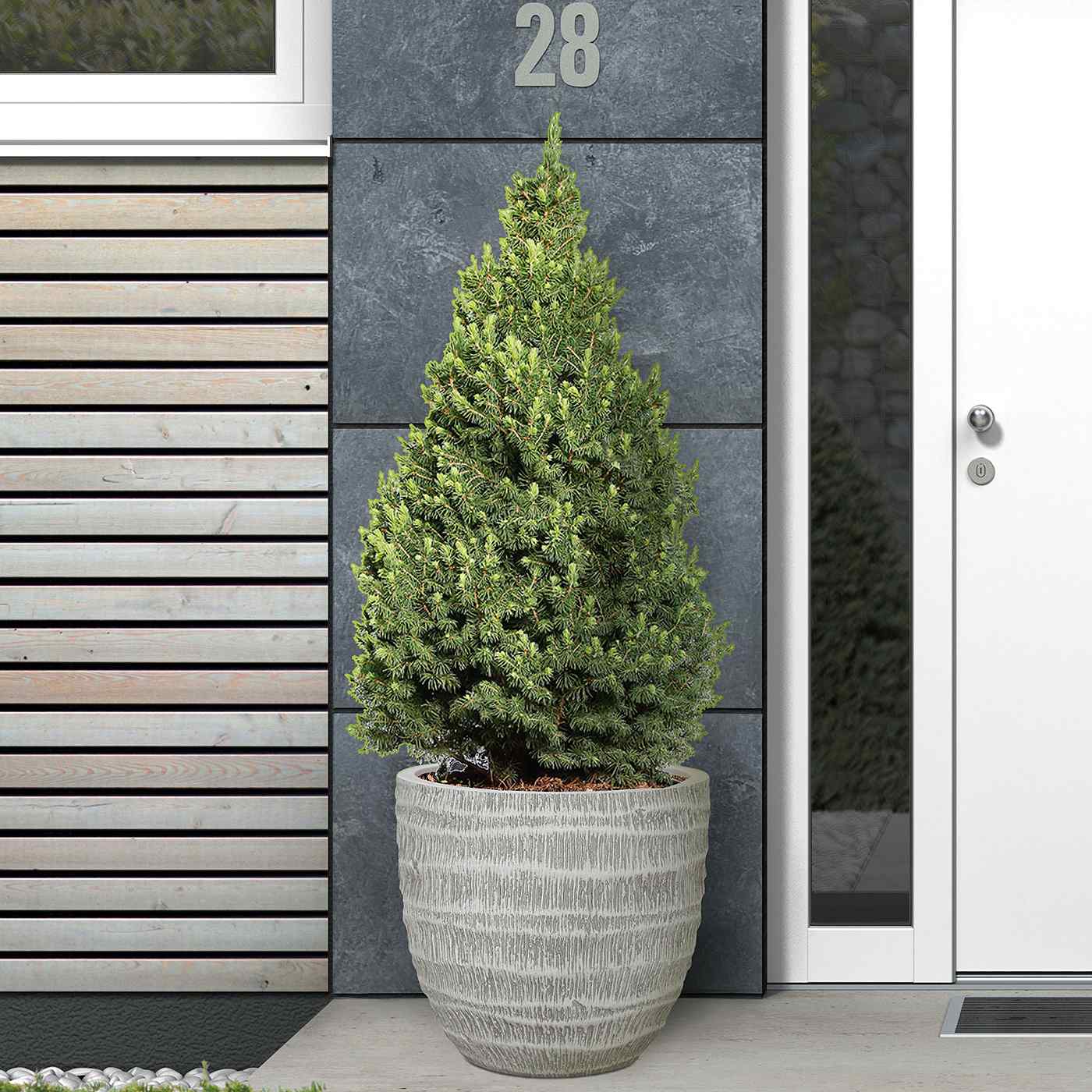 IDEALIST Lite Straw Plaited Style Egg Planter