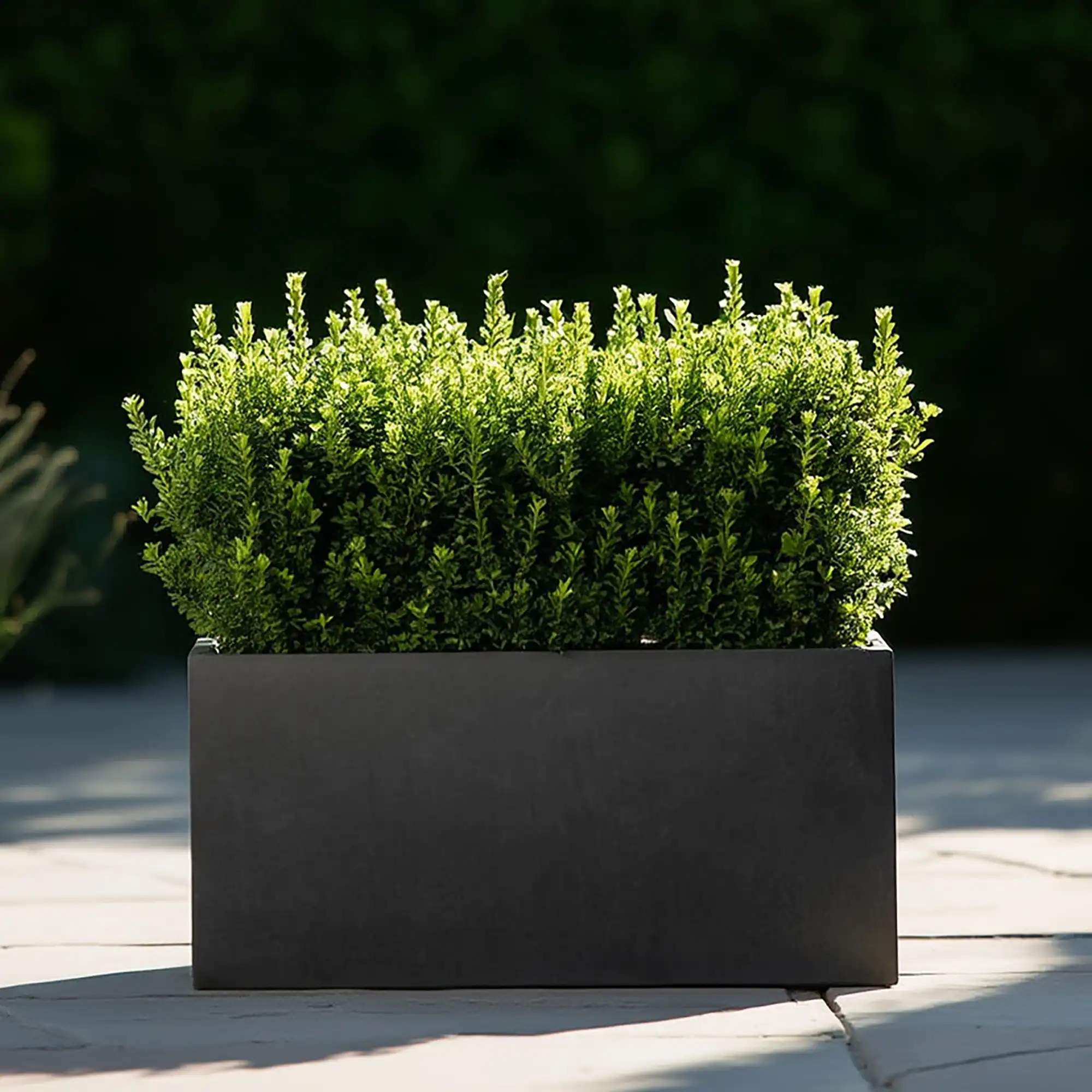 IDEALIST Lite Contemporary Light Concrete High Trough Planter Set