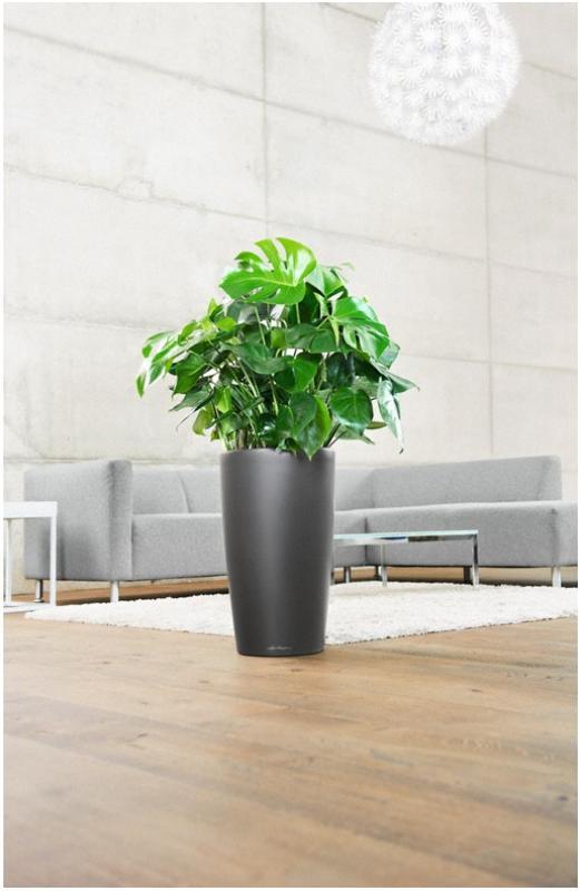 LECHUZA Rondo Round Tall Poly Resin Self-watering Planter