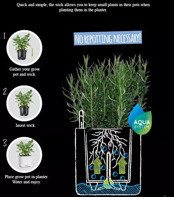 LECHUZA YULA Square Poly Resin Indoor Self-watering Planter