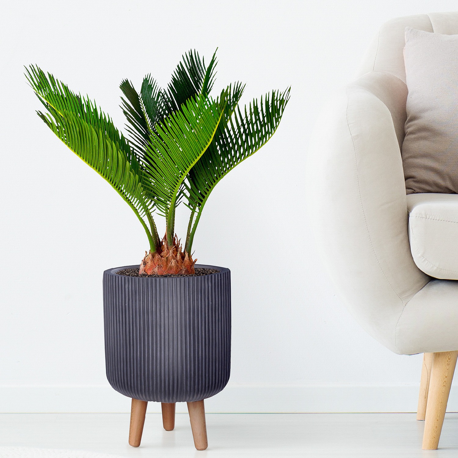 IDEALIST Lite Ribbed Cylinder Planter on Legs, Round Pot Plant Stand Indoor