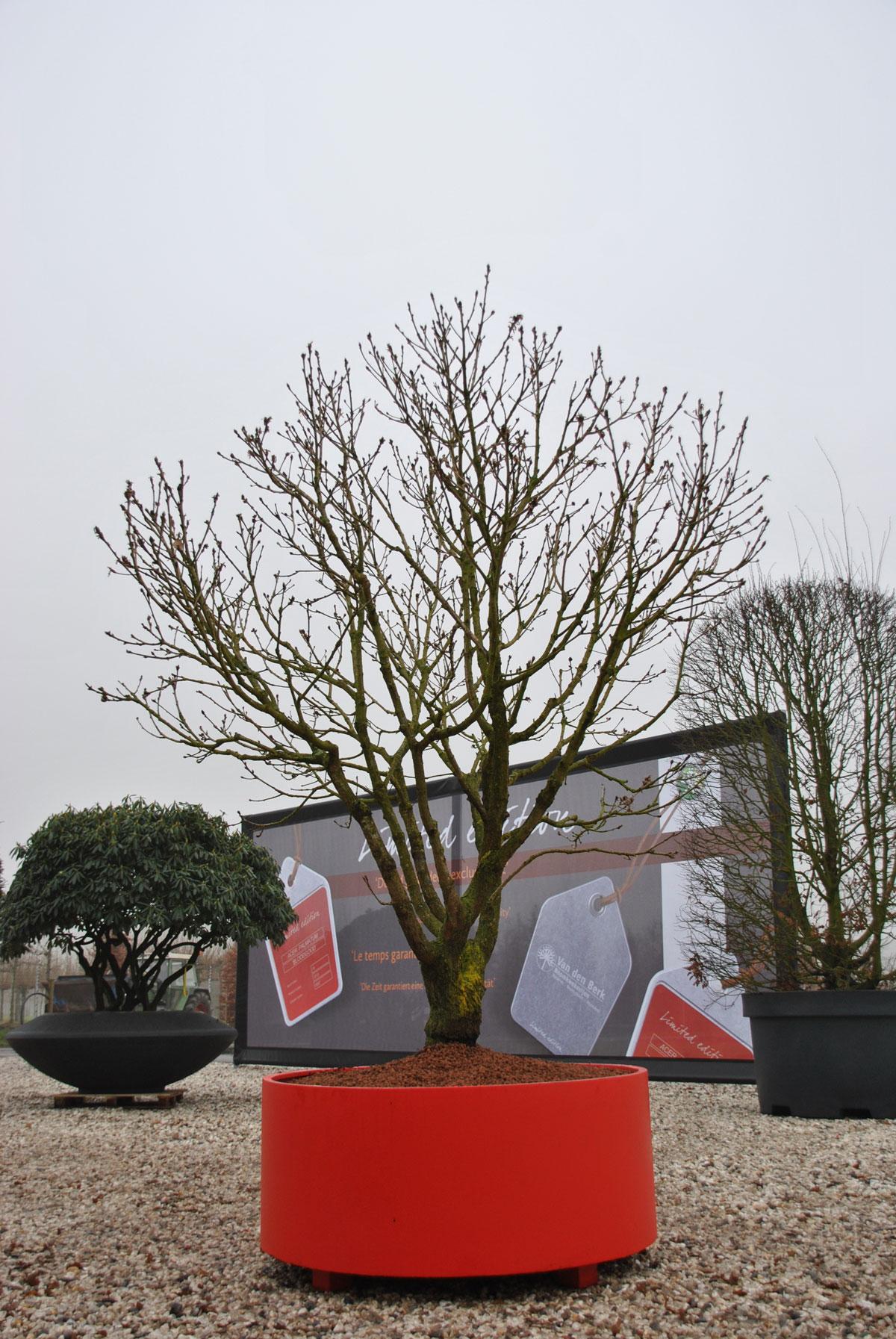 Sydney Outdoor Aluminum Round Planter