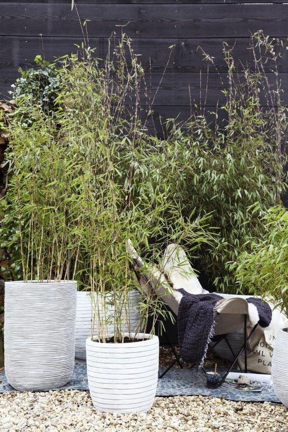 Round Egg Resin Planter by Cadix Capi Tutch Row