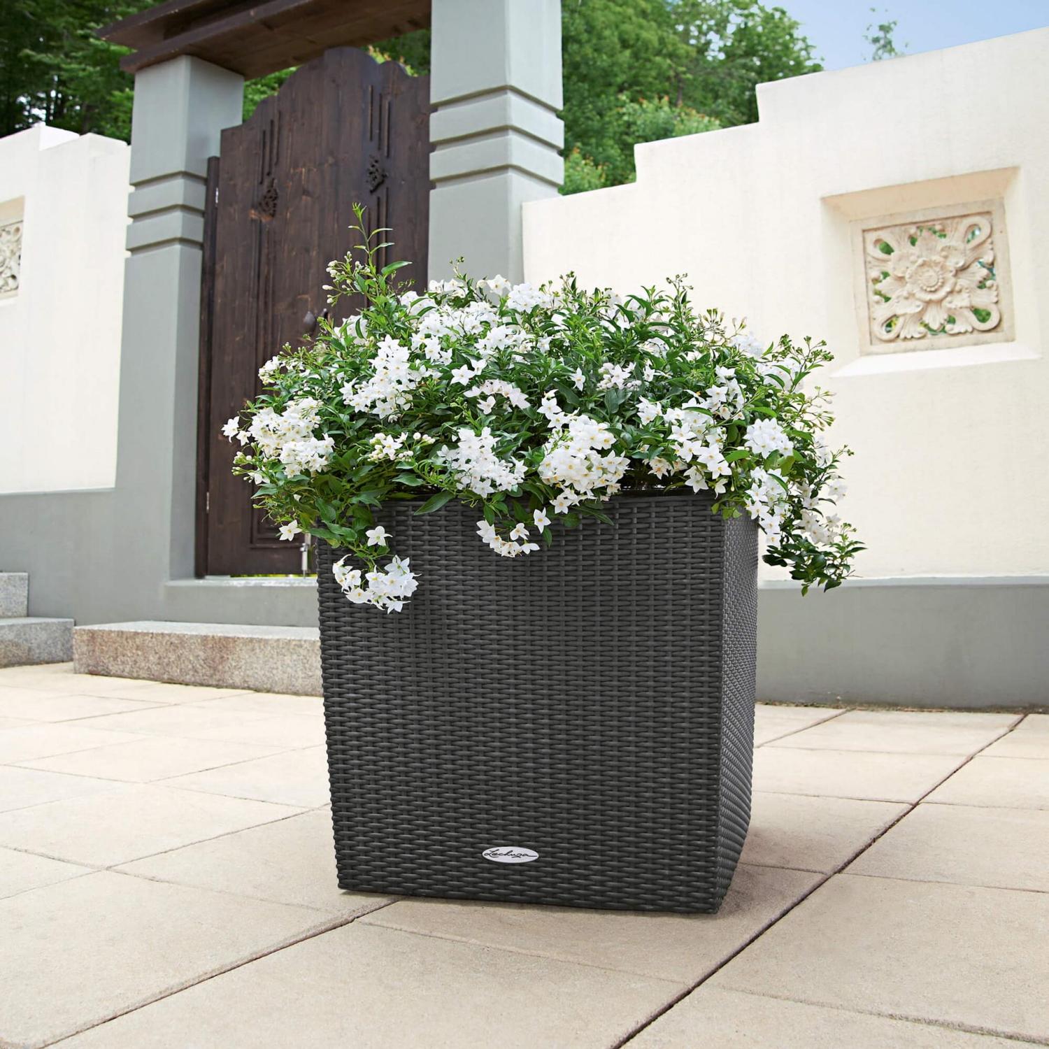 LECHUZA CUBE Cottage Square Poly Resin Self-watering Planter