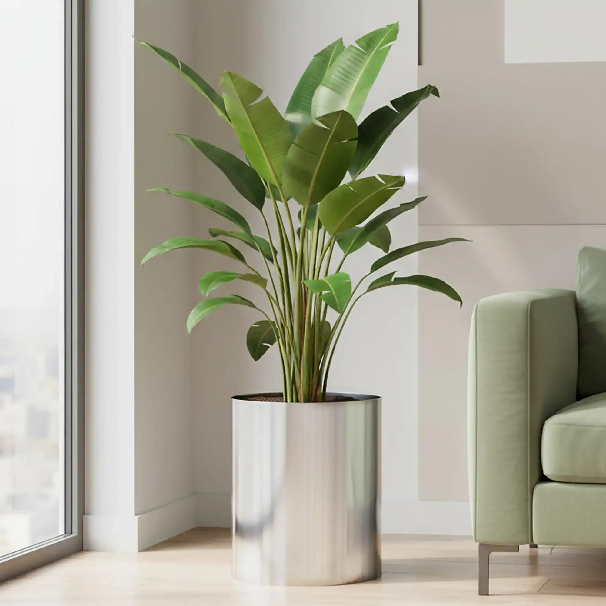 Superline Standard on Ring Round Indoor Planter