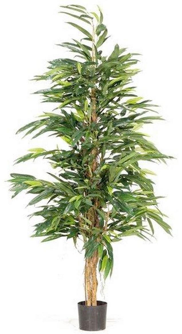 LONGIFOLIA ROYAL NATURAL Artificial Tree Plant