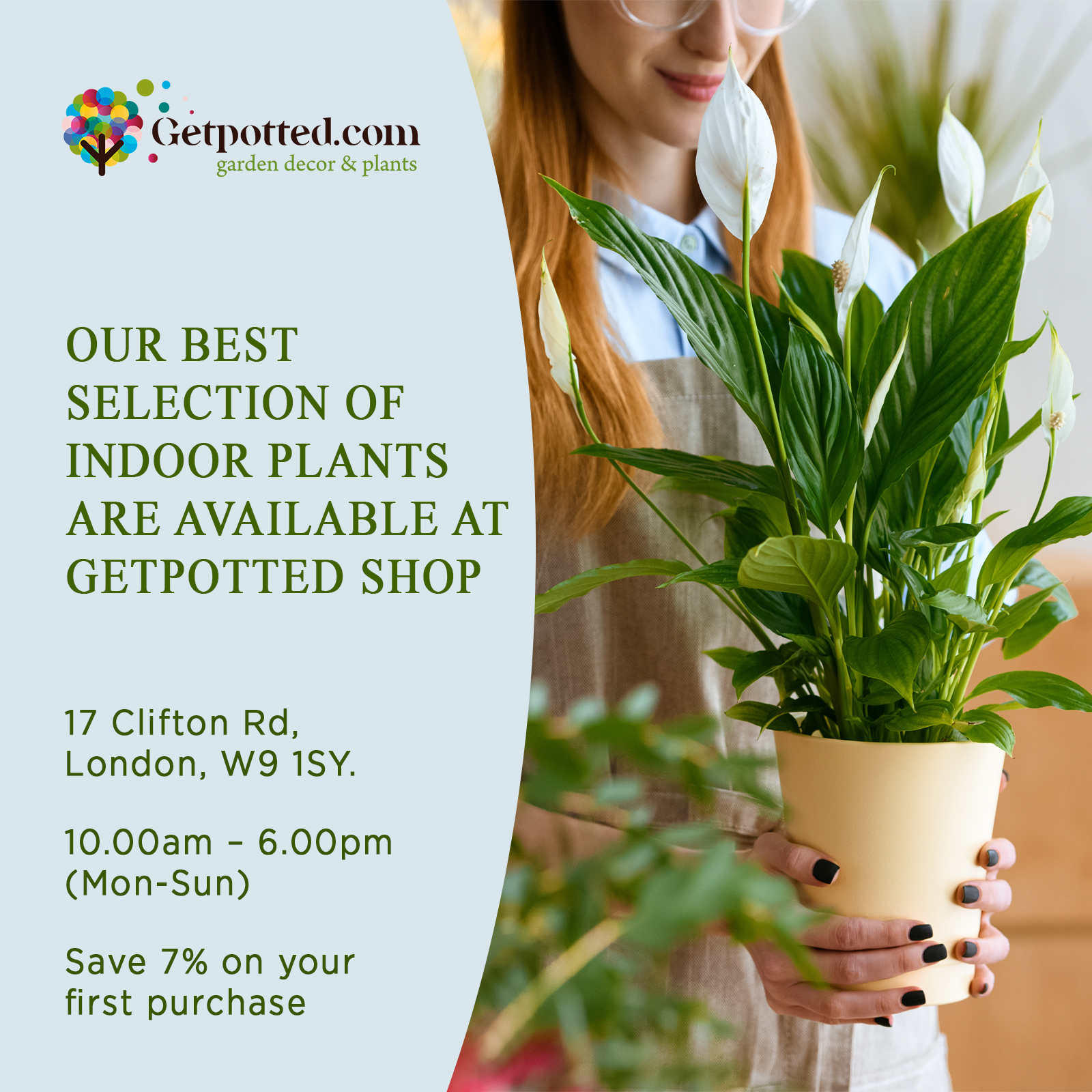 Easy-Care African Milk Tree Euphorbia trigona Indoor House Plants