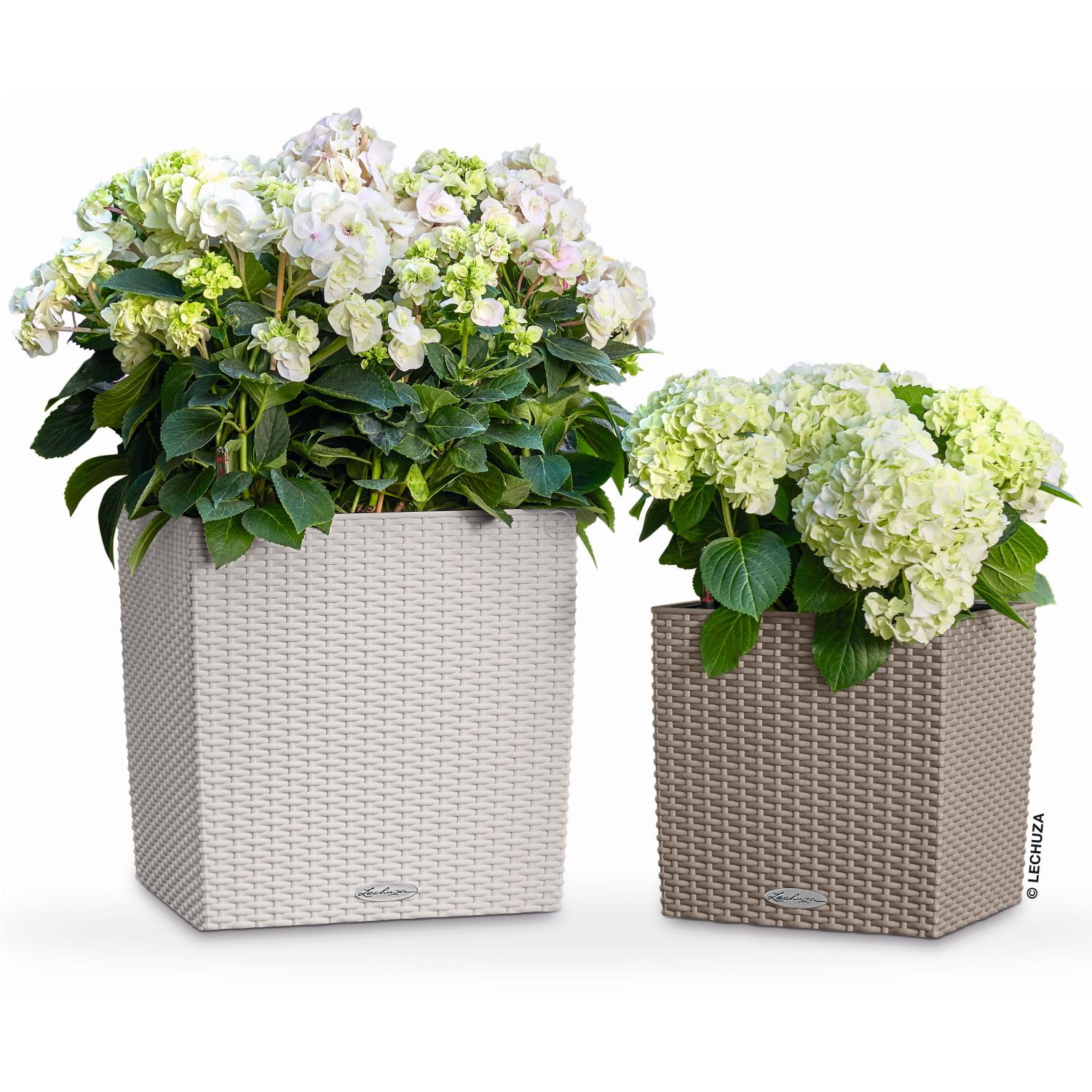 LECHUZA CUBE Cottage Square Poly Resin Self-watering Planter