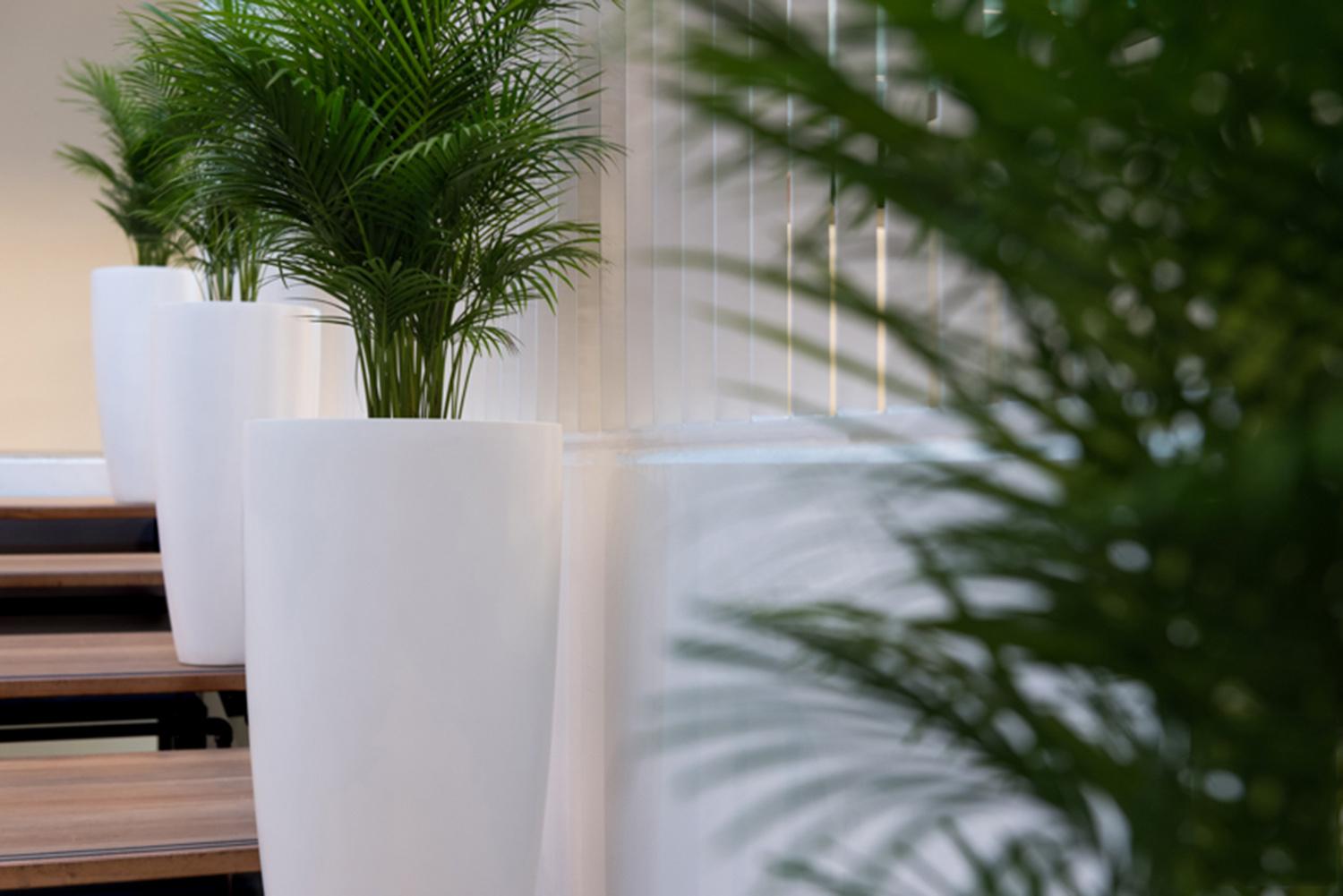 Fibrestone Dax Tall Planter by Idealist Premium