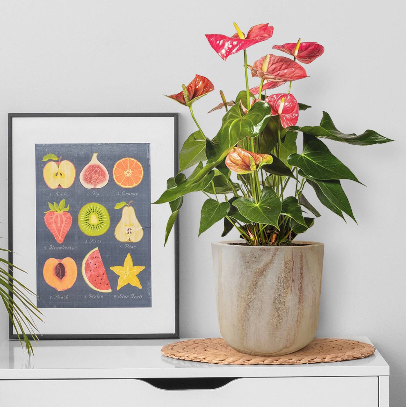 HORTICO CRAFT Wooden House Planter Round Indoor Plant Pot for House Plants with Waterproof Liner