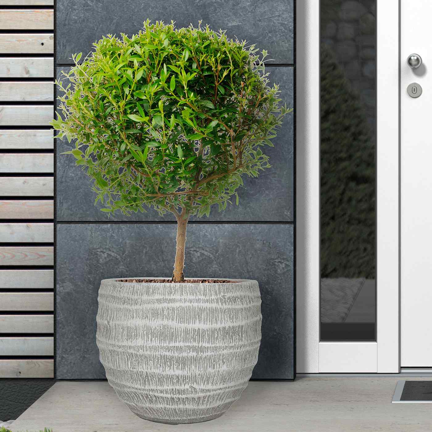 IDEALIST Lite Straw Plaited Style Ball Planter