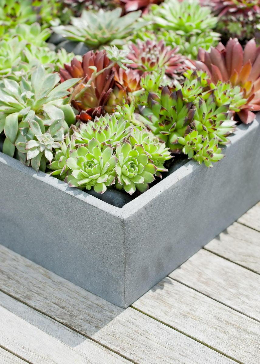 Square Fiberstone Low Planter by Idealist Premium JUMBO