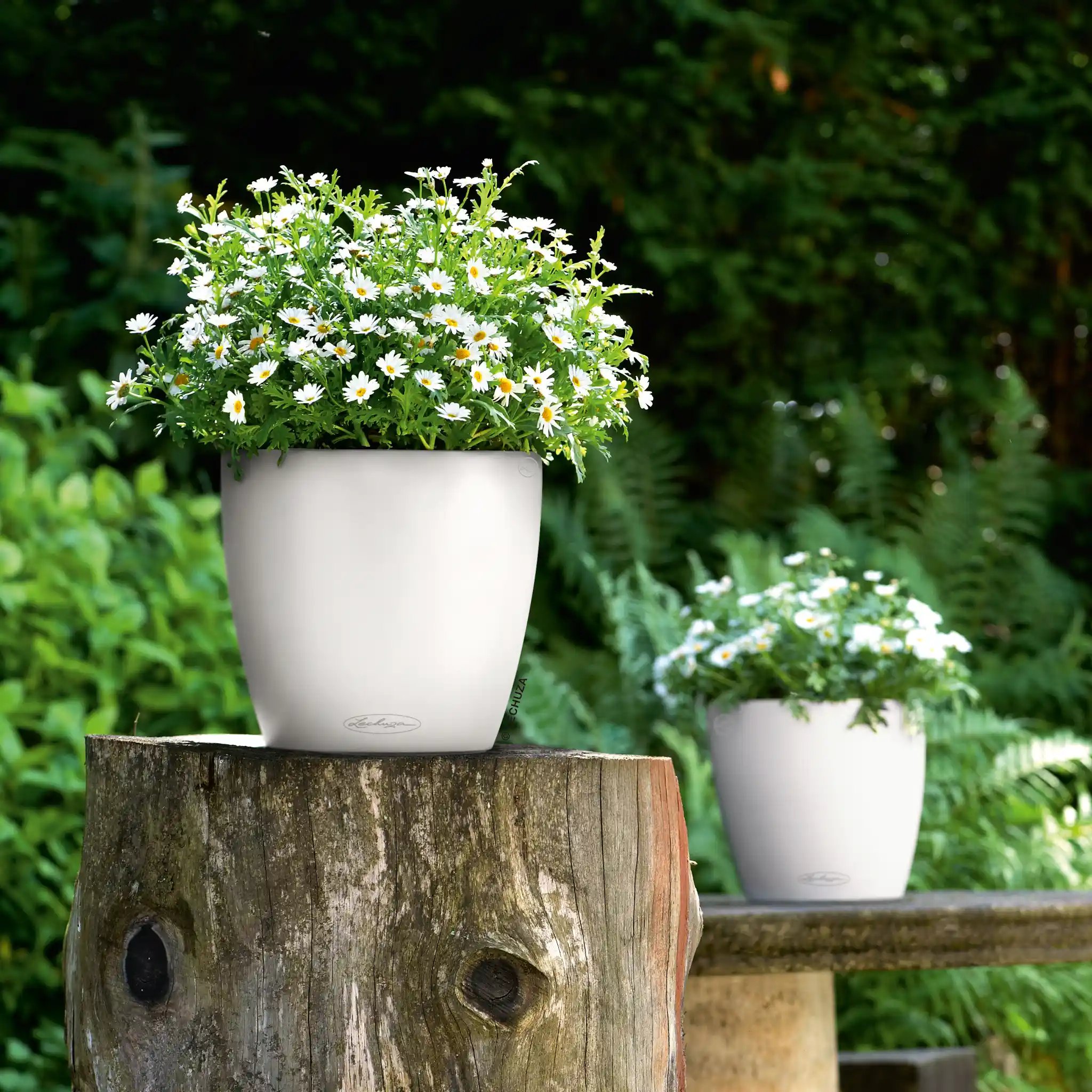LECHUZA CLASSICO Color Round Poly Resin Self-watering Planter