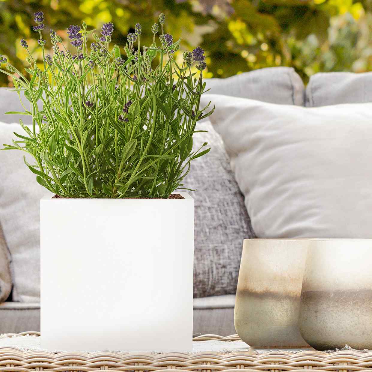 IDEALIST Lite Square Box Contemporary Light Concrete Planter
