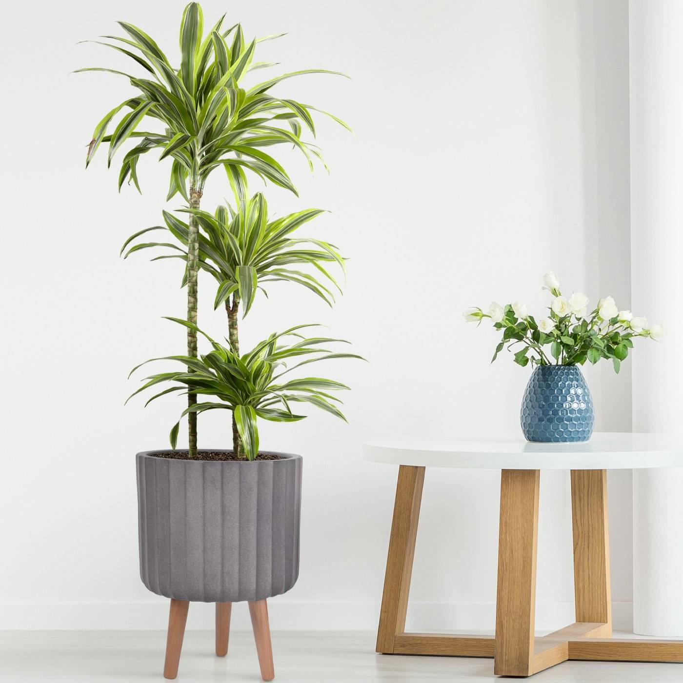 IDEALIST Lite Modern Ribbed Taupe Cylinder Planter with Legs, Round Indoor  Plant Pot Stand for Indoor Plants D26 H41 cm, 14.8L - from 55.24 |  Getpotted.com