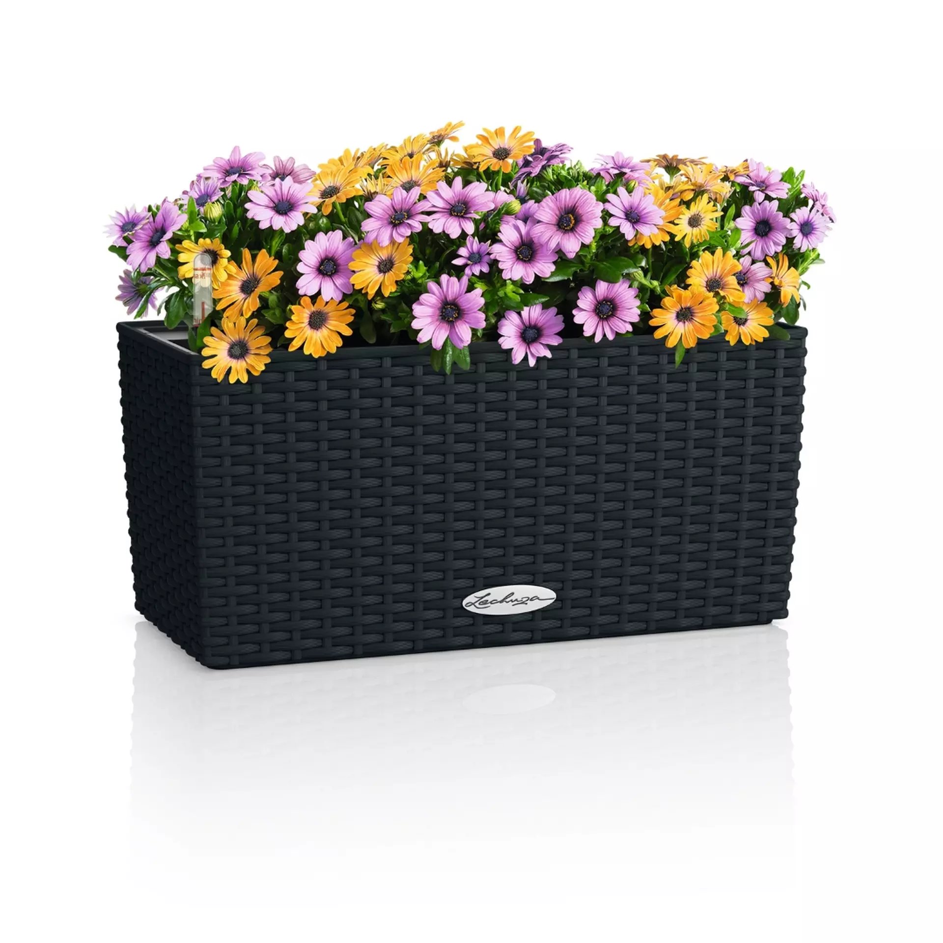 LECHUZA BALCONERA Cottage Trough Poly Resin Self-watering Planter