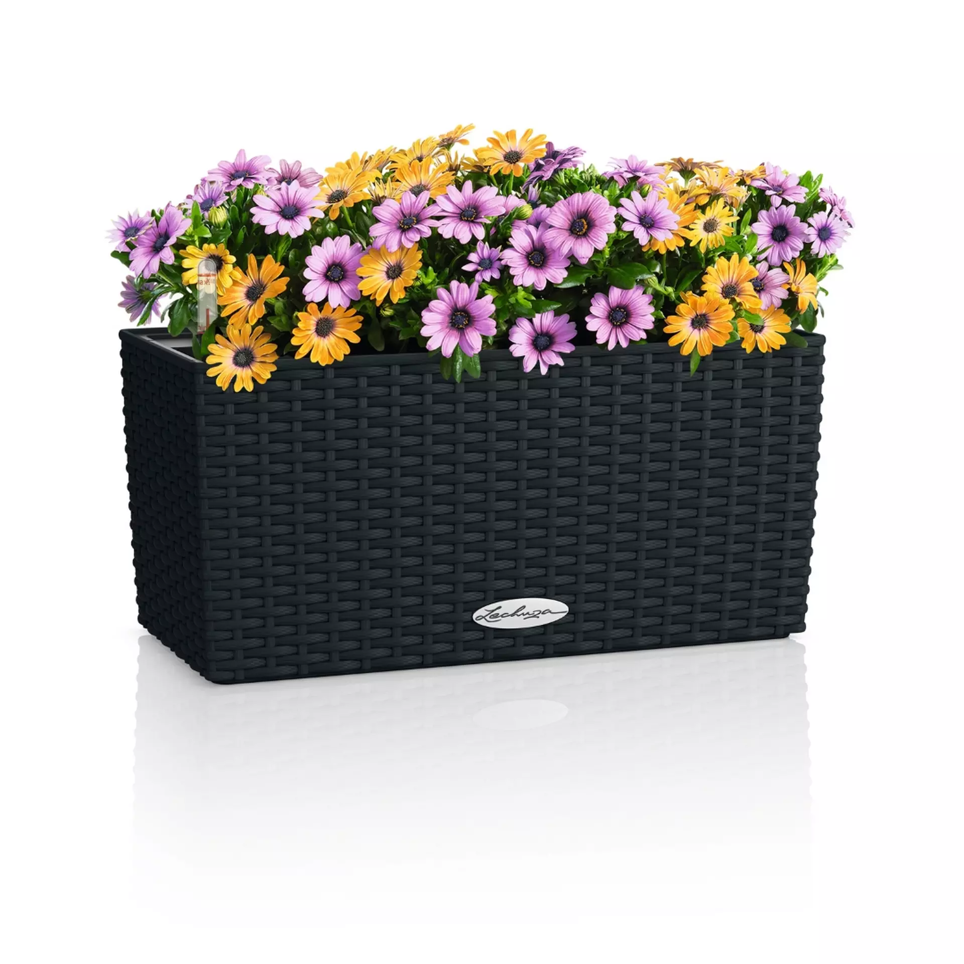 LECHUZA BALCONERA Cottage Trough Poly Resin Self-watering Planter