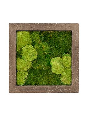 Moss Painting Rock Square