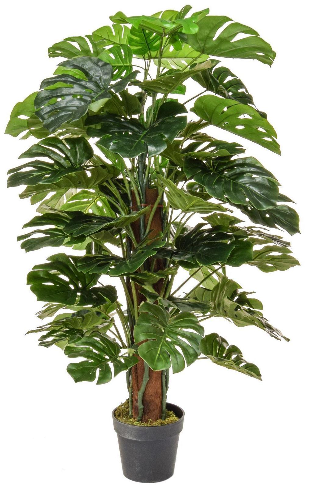 Monstera Artificial Tree Plant