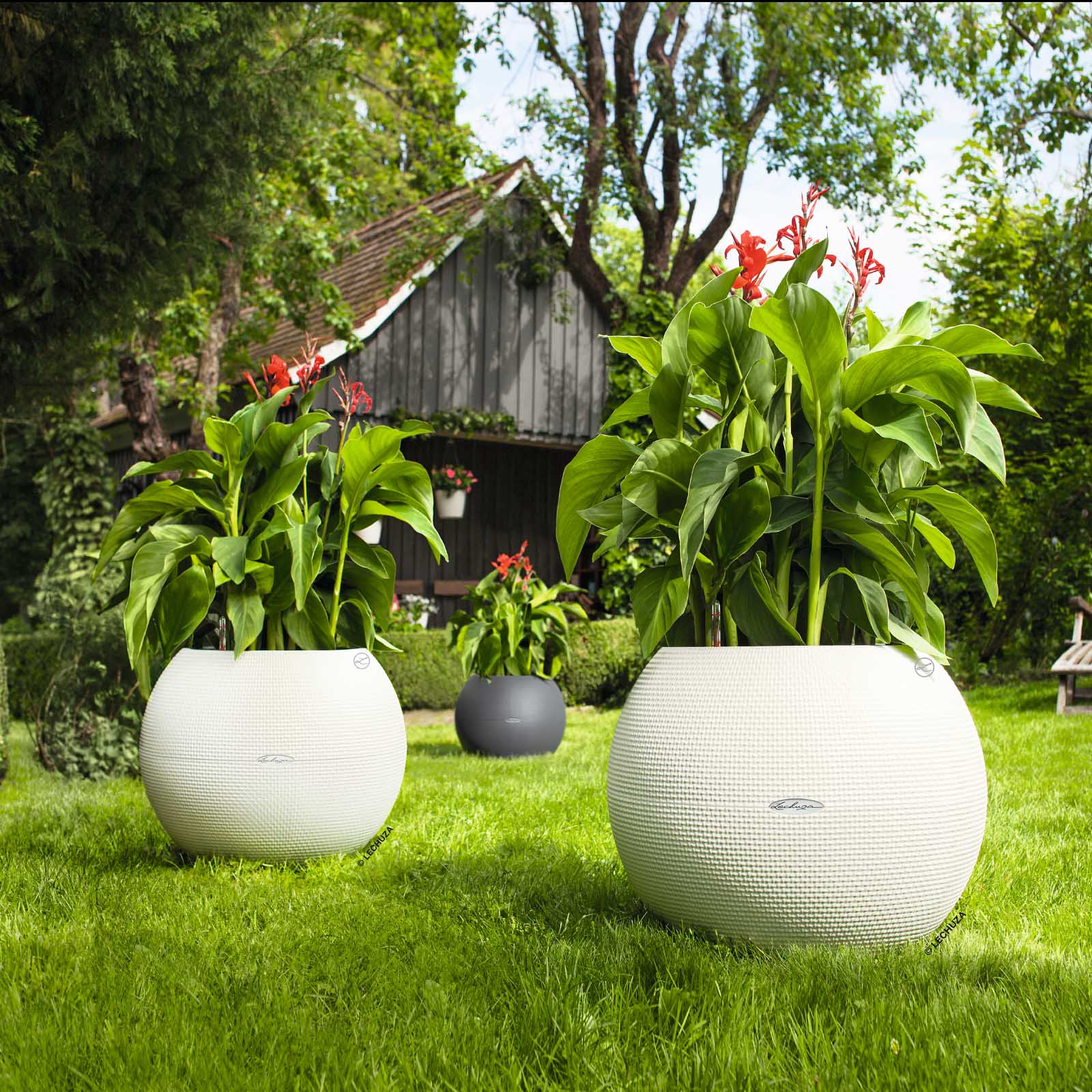 LECHUZA PURO Color Round Poly Resin Self-watering Planter