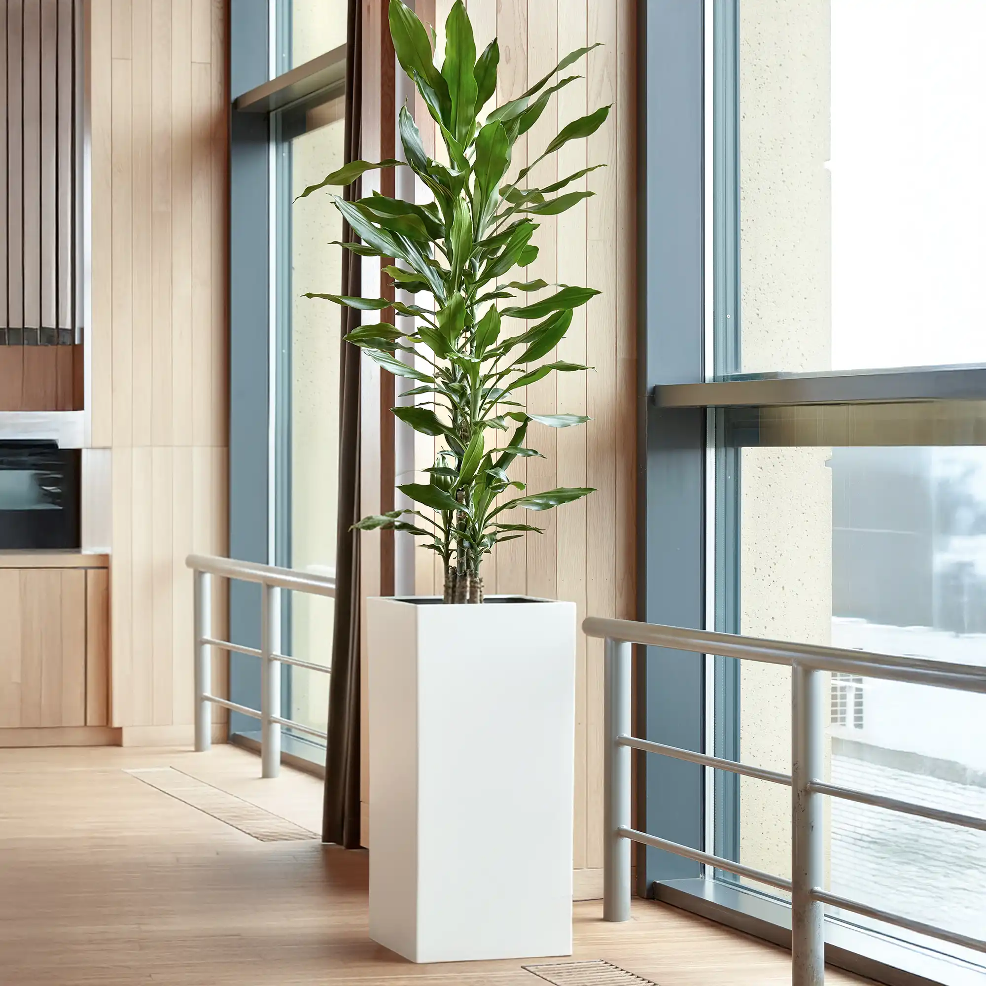 Tall Fiberstone Square Planter by Idealist Premium BOUVY