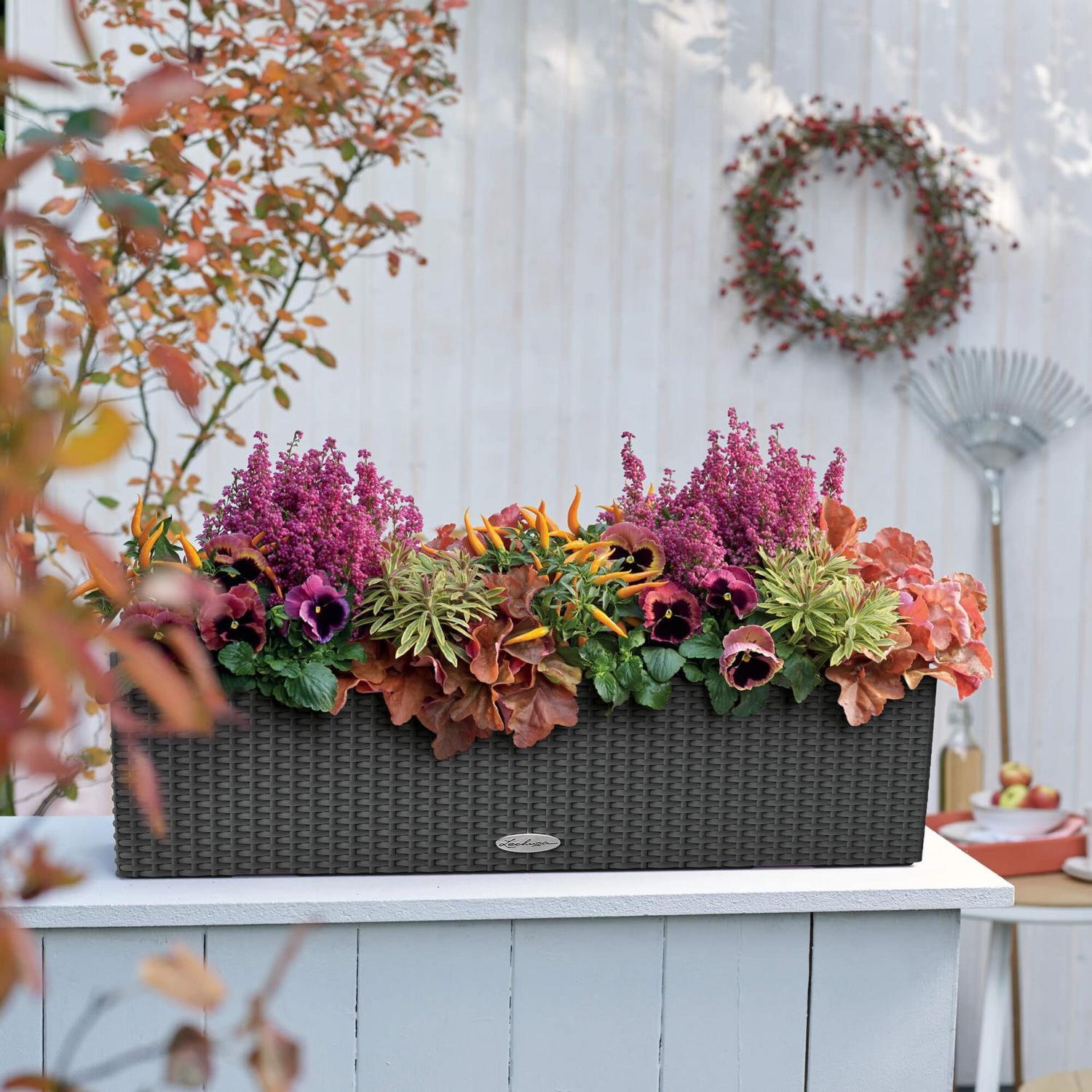 LECHUZA BALCONERA Cottage Trough Poly Resin Self-watering Planter Set