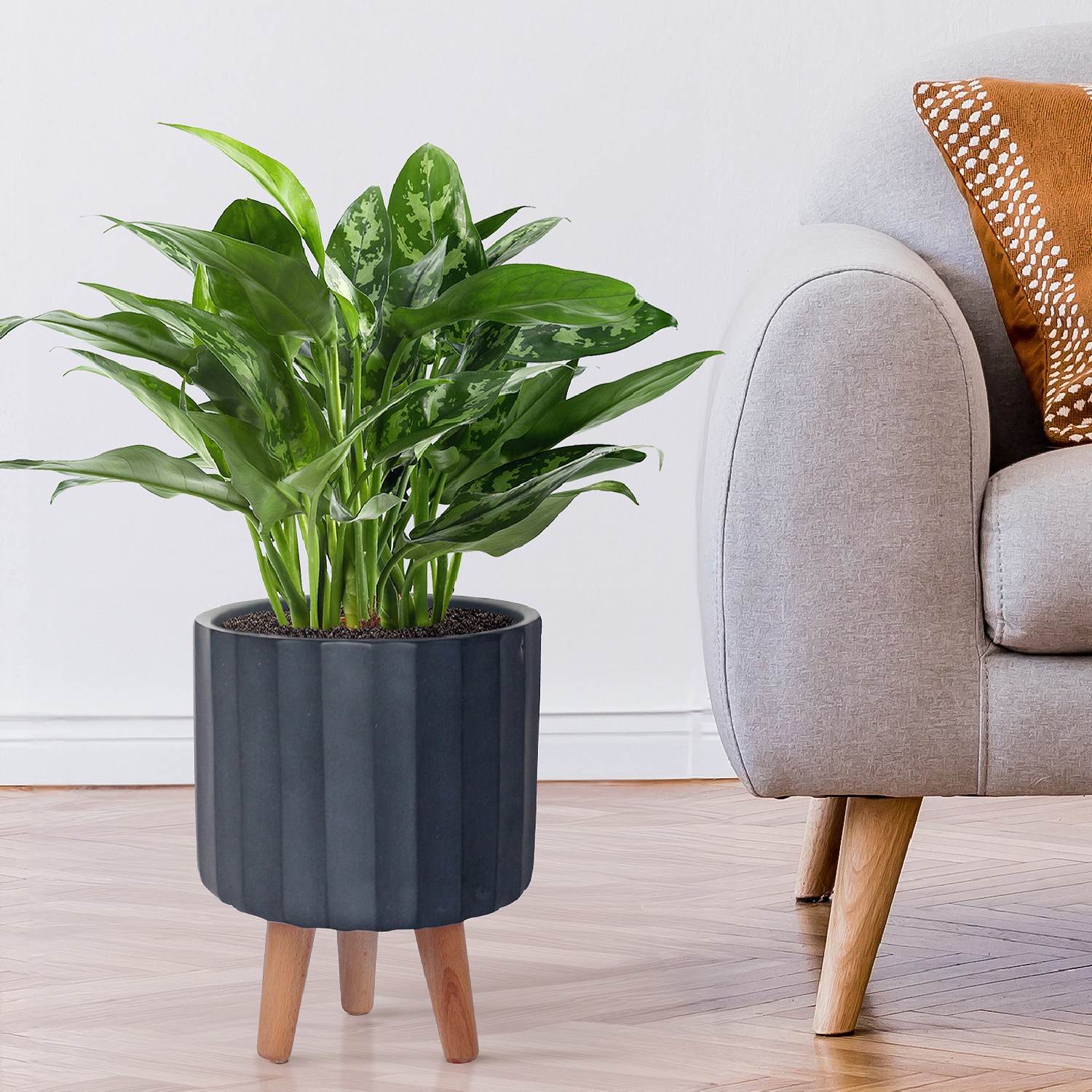 IDEALIST Lite Modern Ribbed Cylinder Planter on Legs, Round Pot Plant Stand Indoor