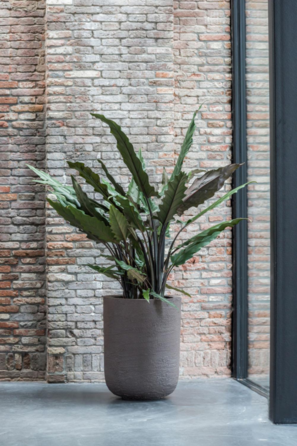 Fibrestone Dice Round Planter by Idealist Premium