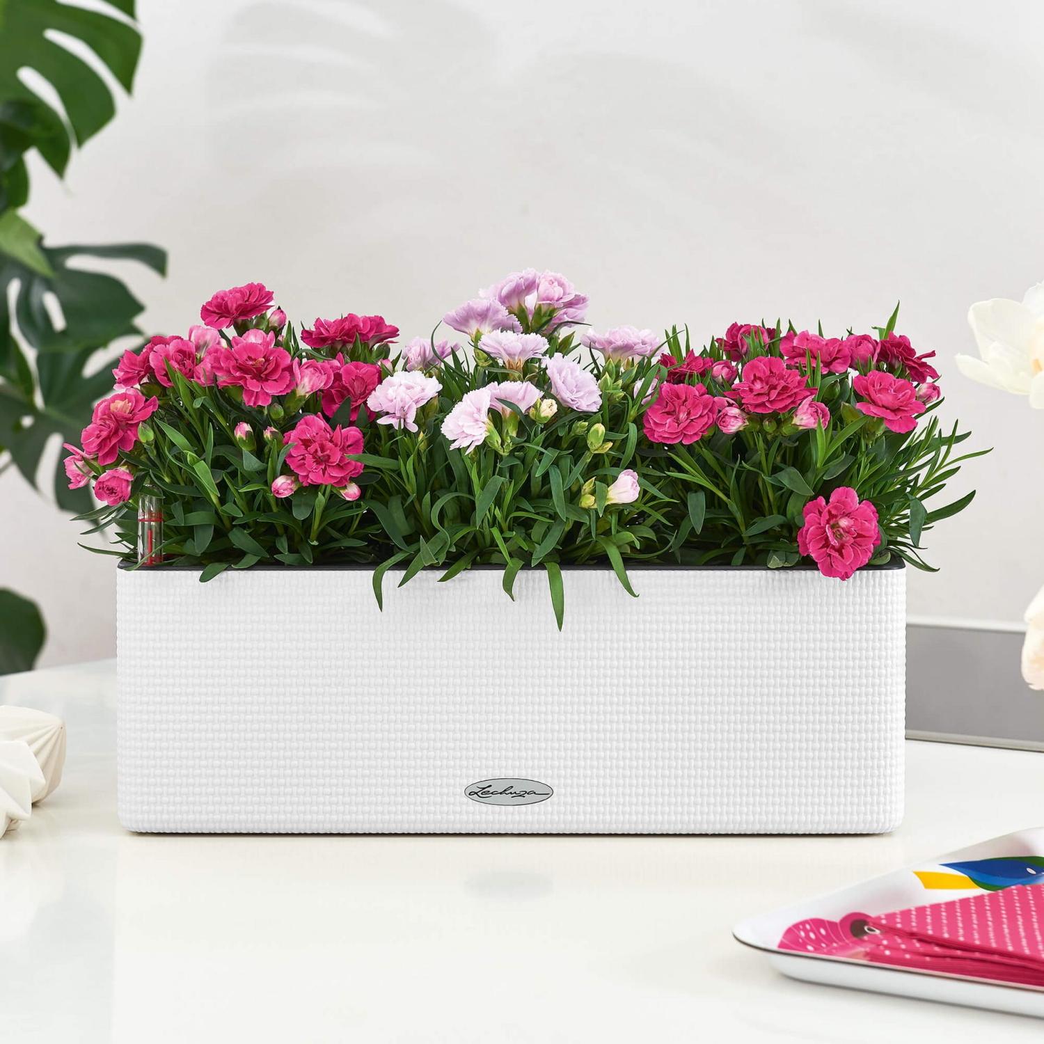 LECHUZA CUBE Color Triple Trough Poly Resin Self-watering Planter
