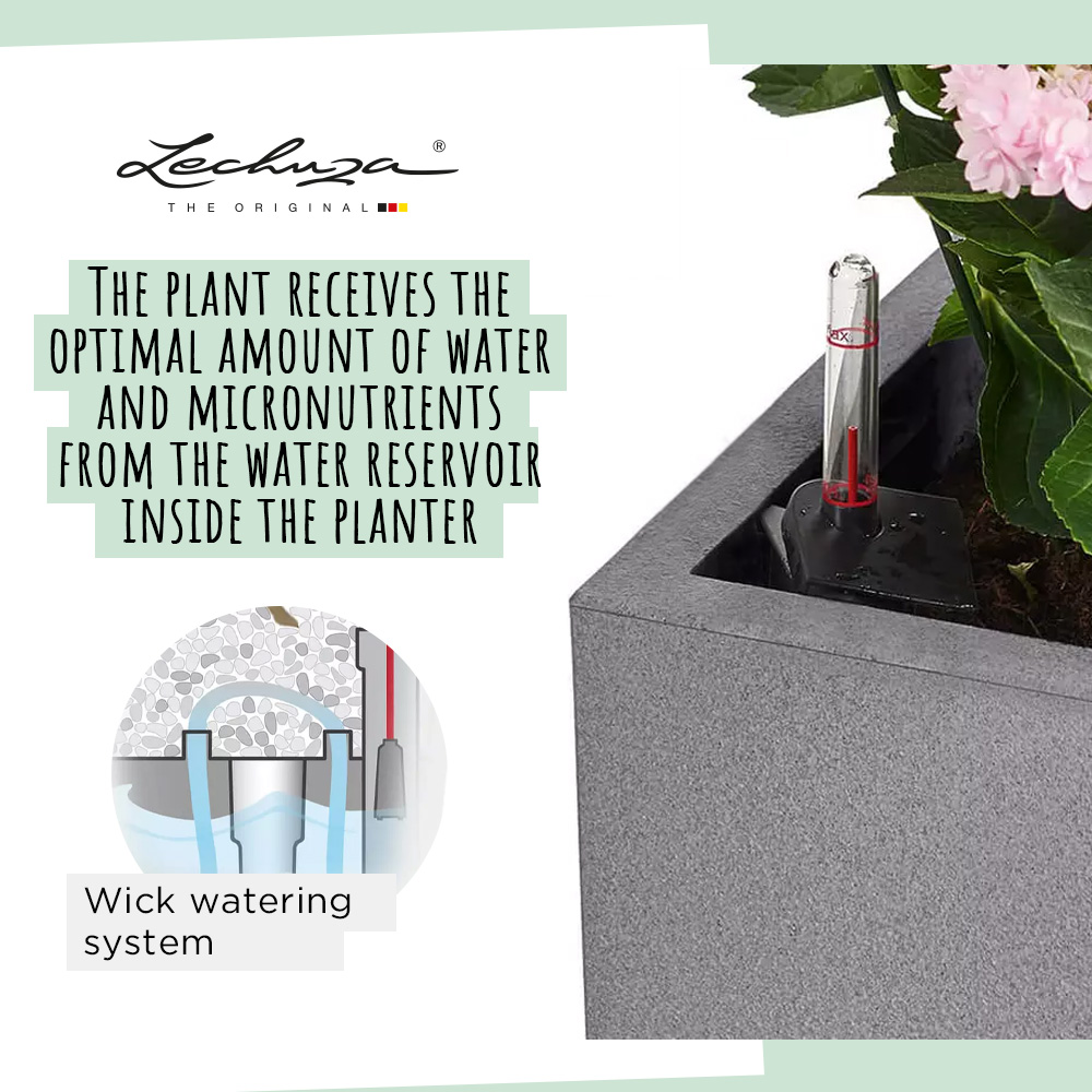 LECHUZA CANTO Stone Low Square Poly Resin Self-watering Planter Set