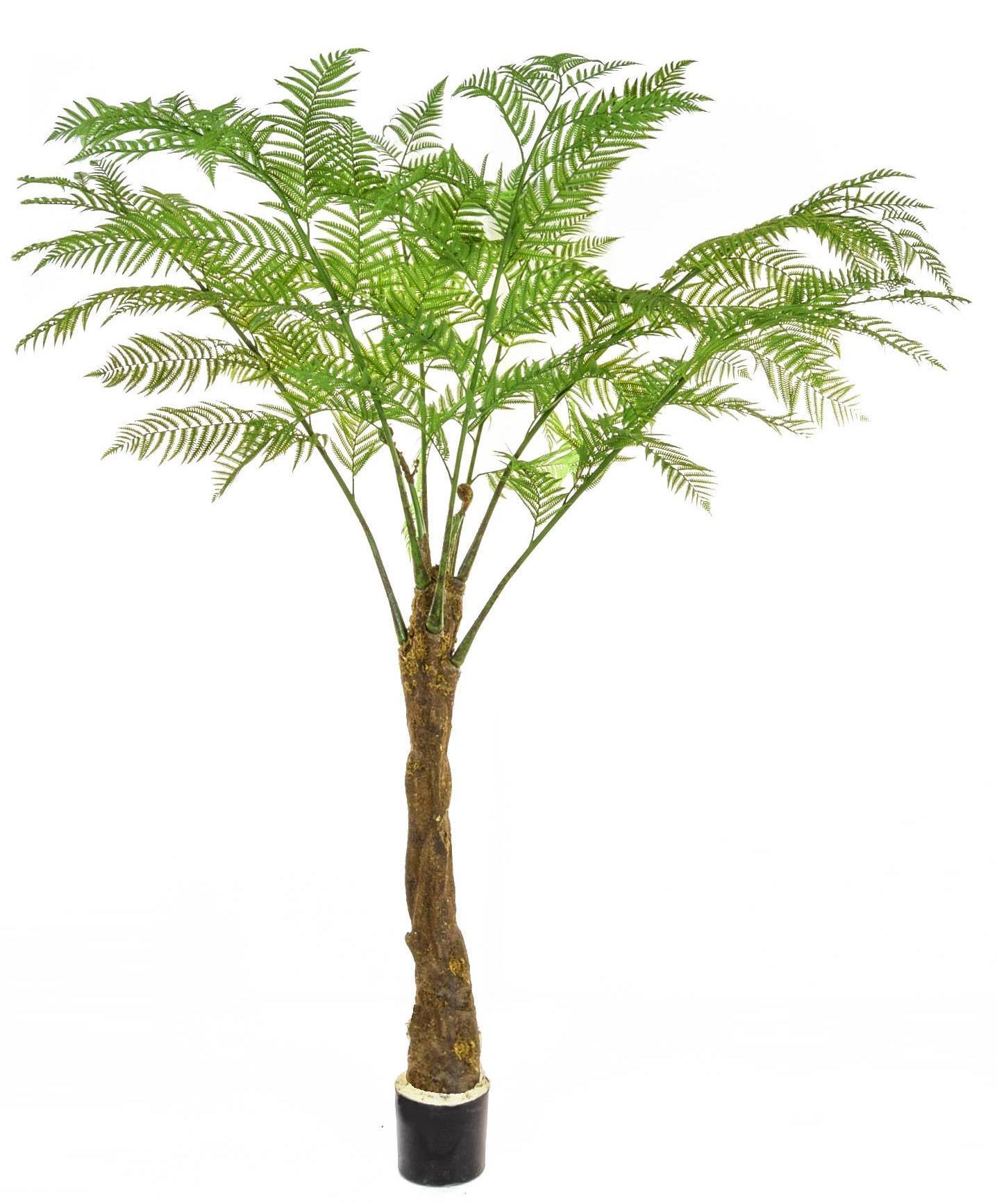 Palm Alsophila Artificial Tree Plant