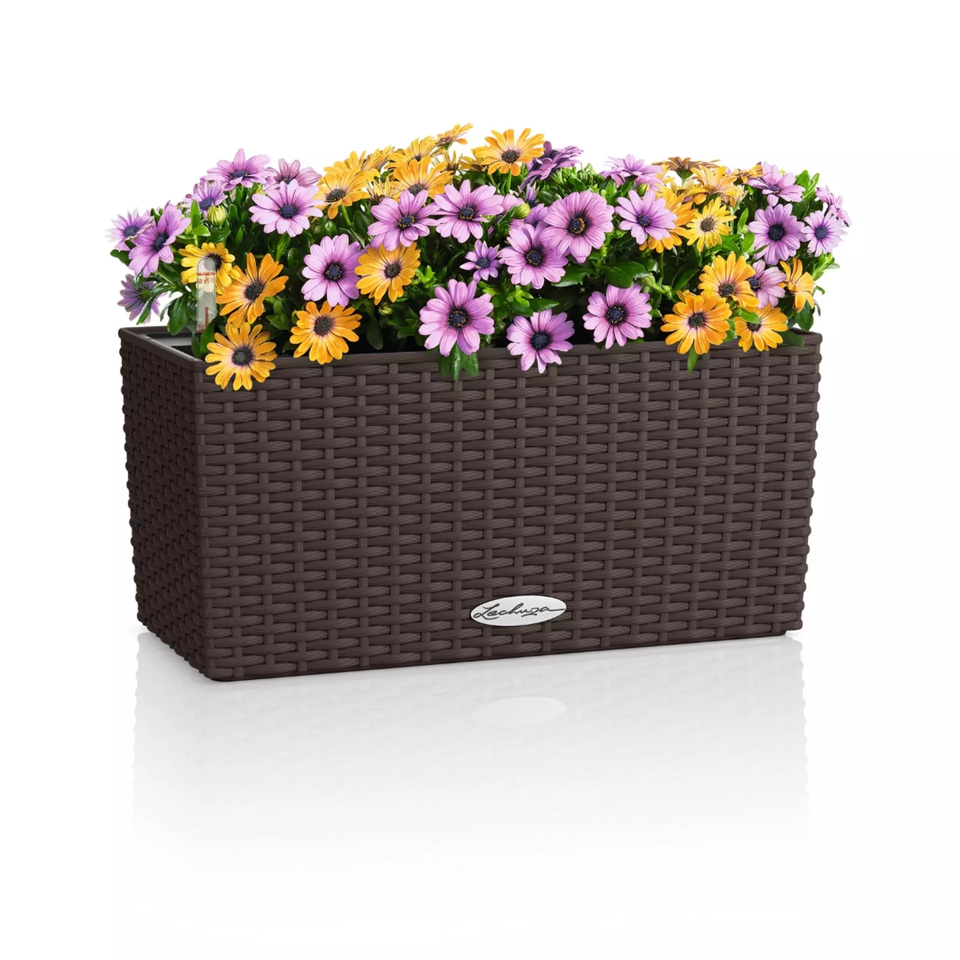 LECHUZA BALCONERA Cottage Trough Poly Resin Self-watering Planter