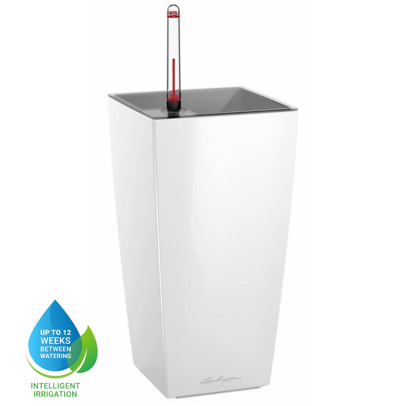 LECHUZA CUBI Square Poly Resin Indoor Self-watering Planter