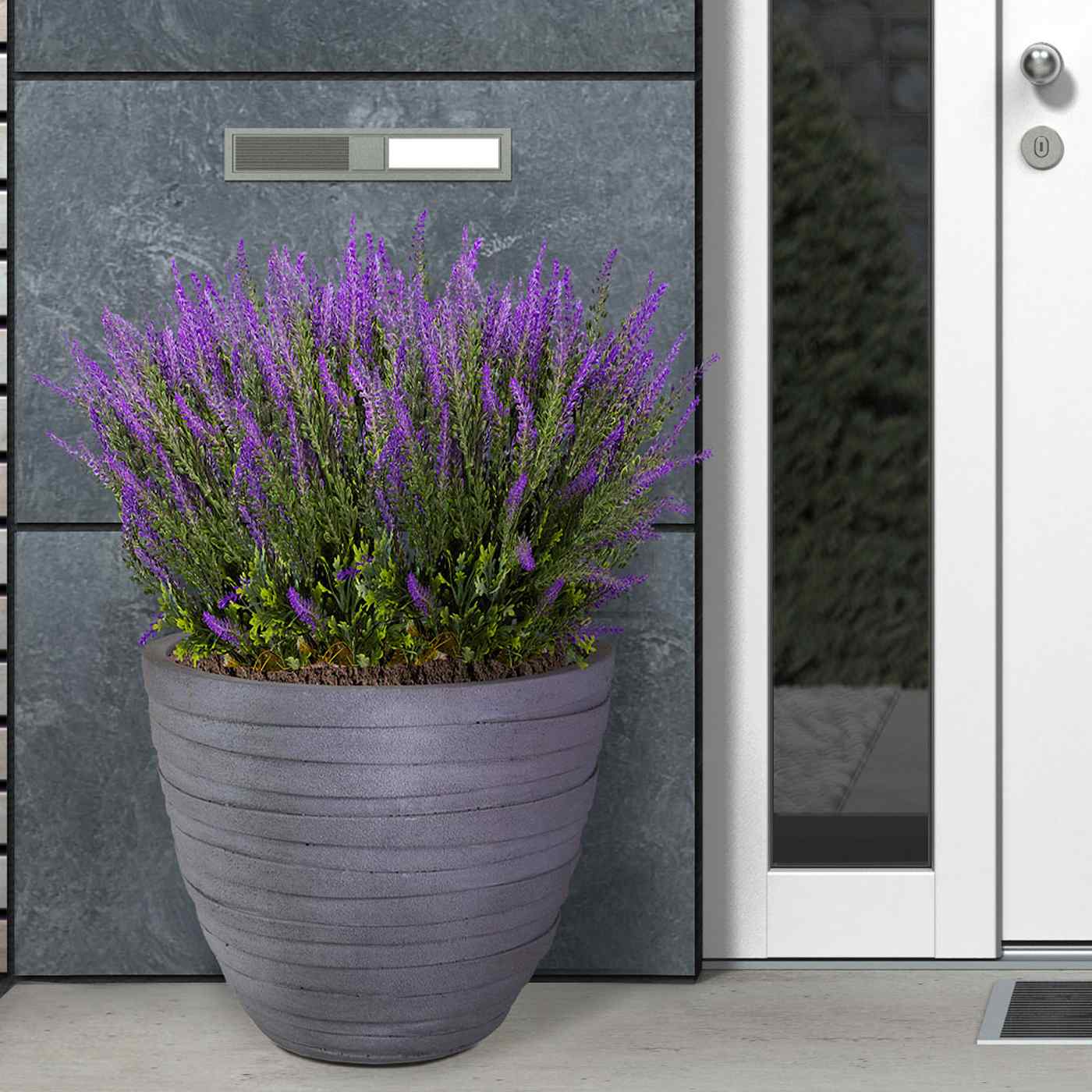 IDEALIST Lite Row Light Concrete Egg Planter