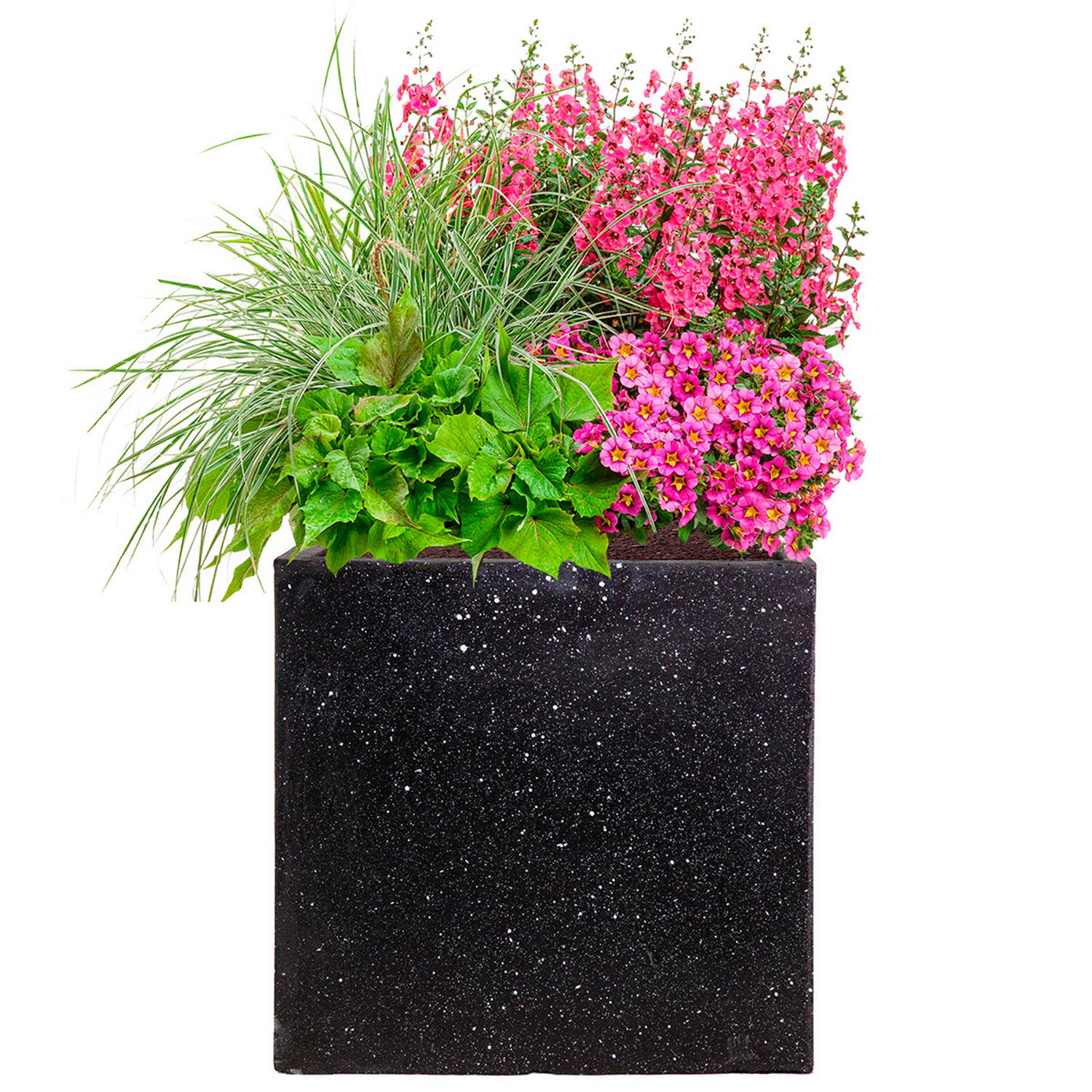 IDEALIST Lite Square Box Contemporary Marble Light Concrete Planter