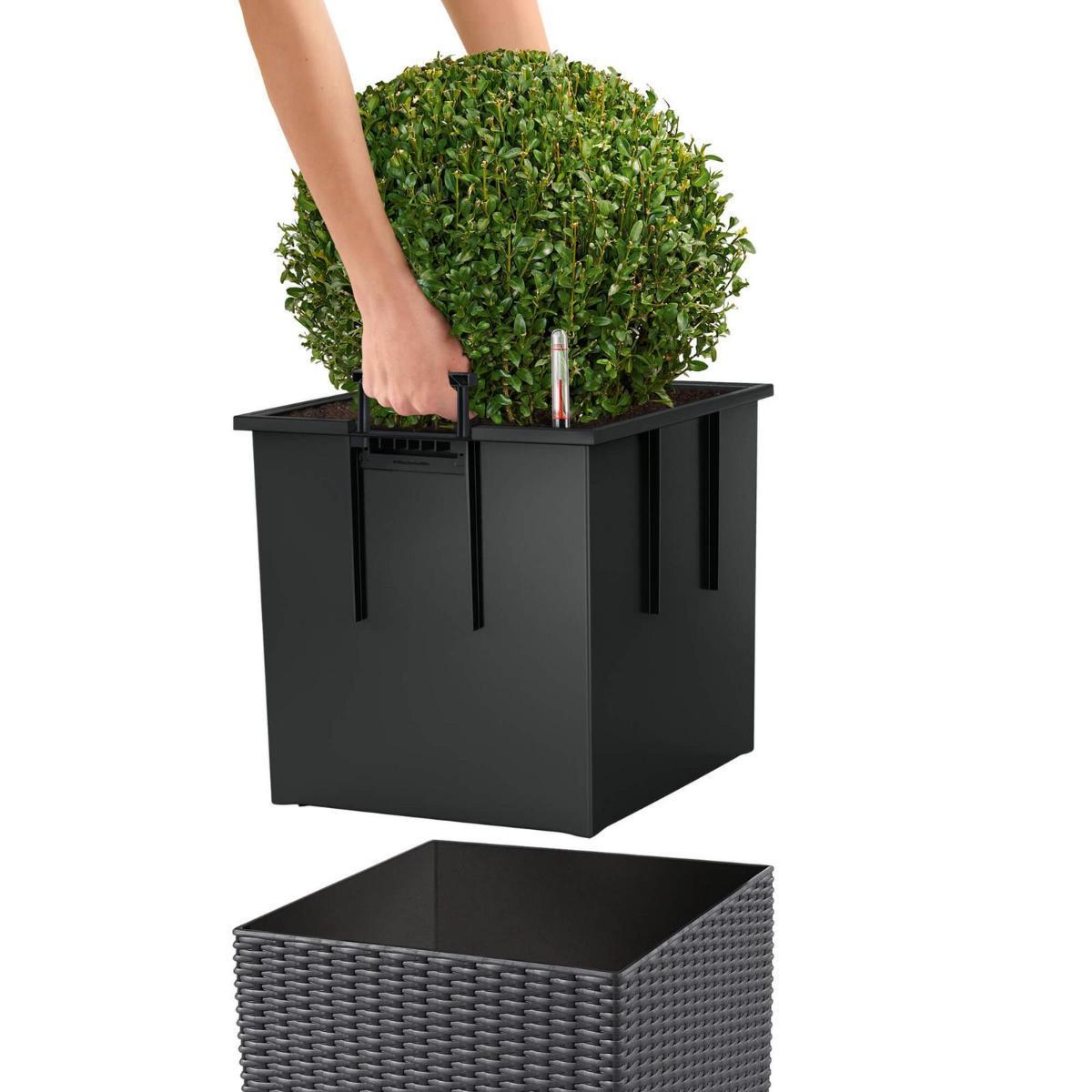 LECHUZA CUBE Cottage Square Poly Resin Self-watering Planter Set