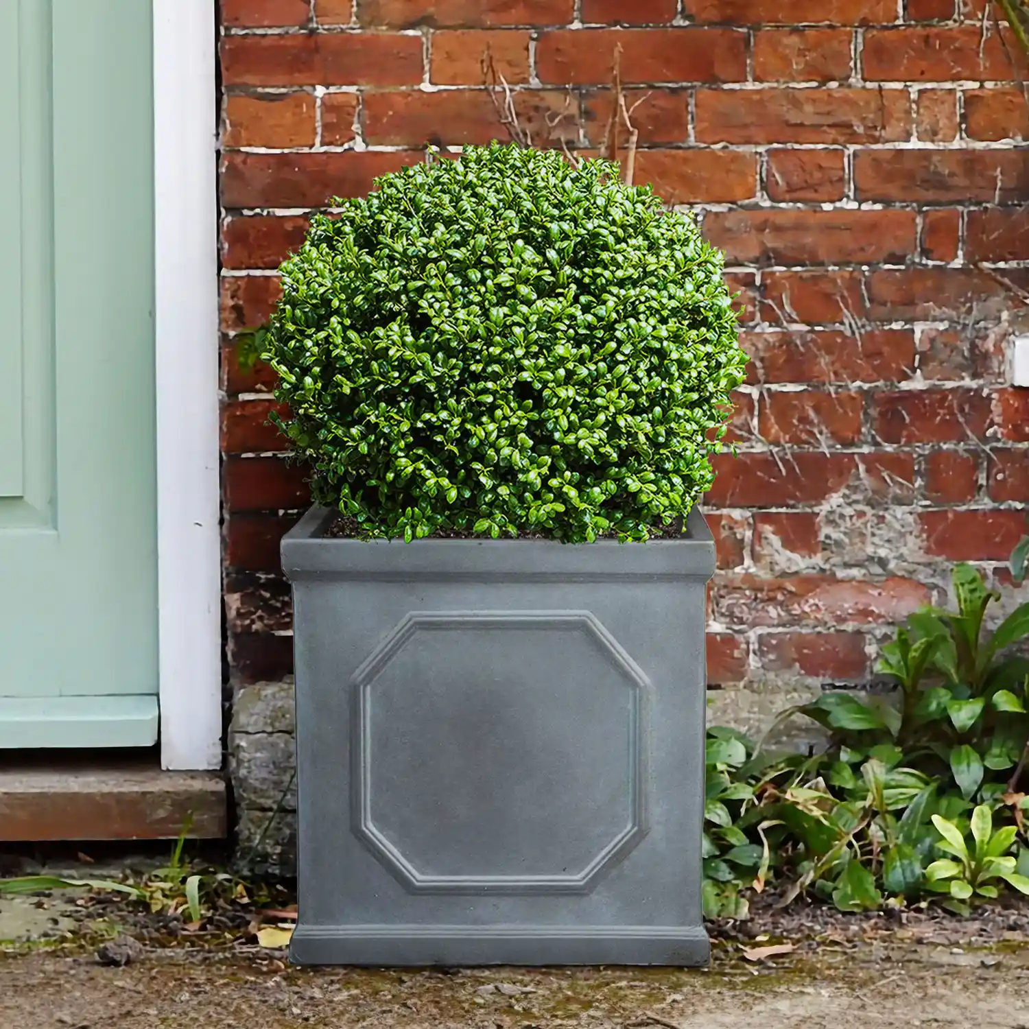 IDEALIST Lite Faux Lead Chelsea Box Square Light Concrete Planter