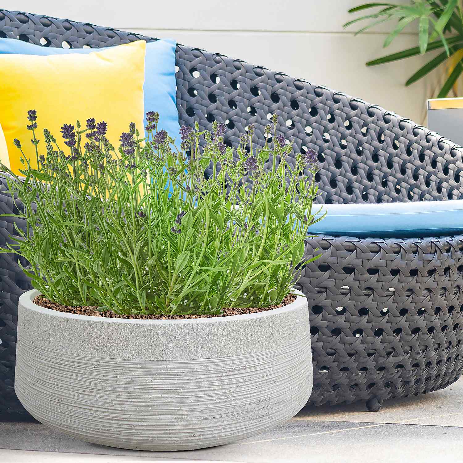 IDEALIST Lite Ribbed Light Concrete Bowl Planter