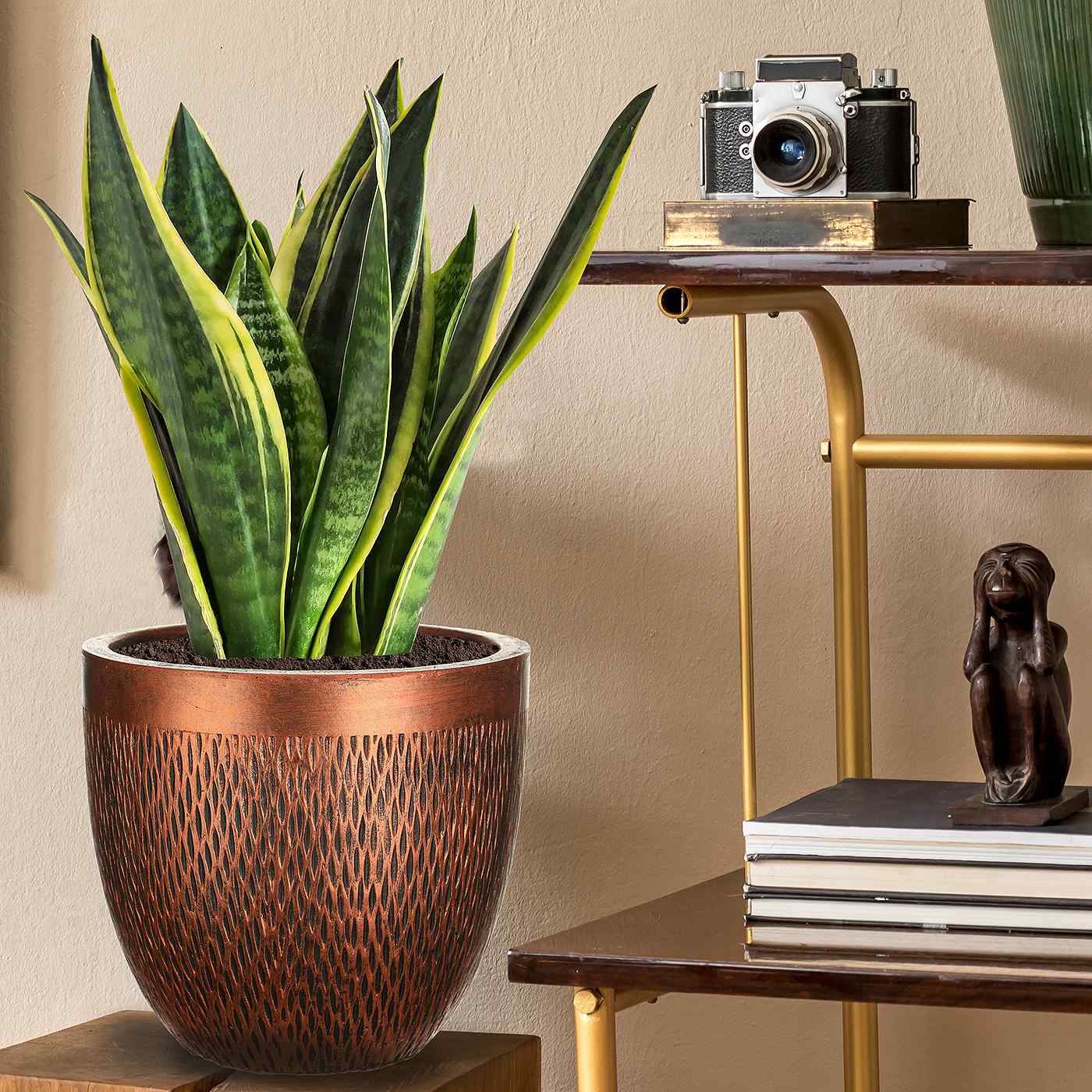 IDEALIST Lite Mesh Style Round Indoor Planter