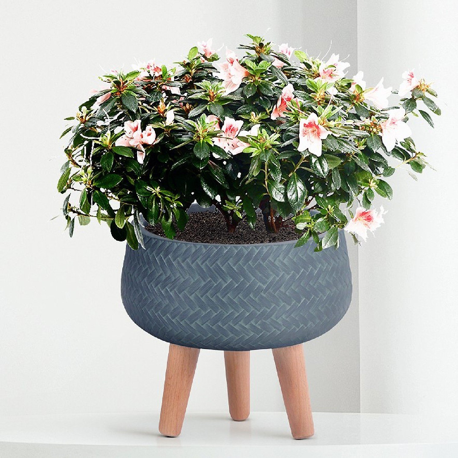 IDEALIST Lite Plaited Style Bowl Planter on Legs, Round Pot Plant Stand Indoor