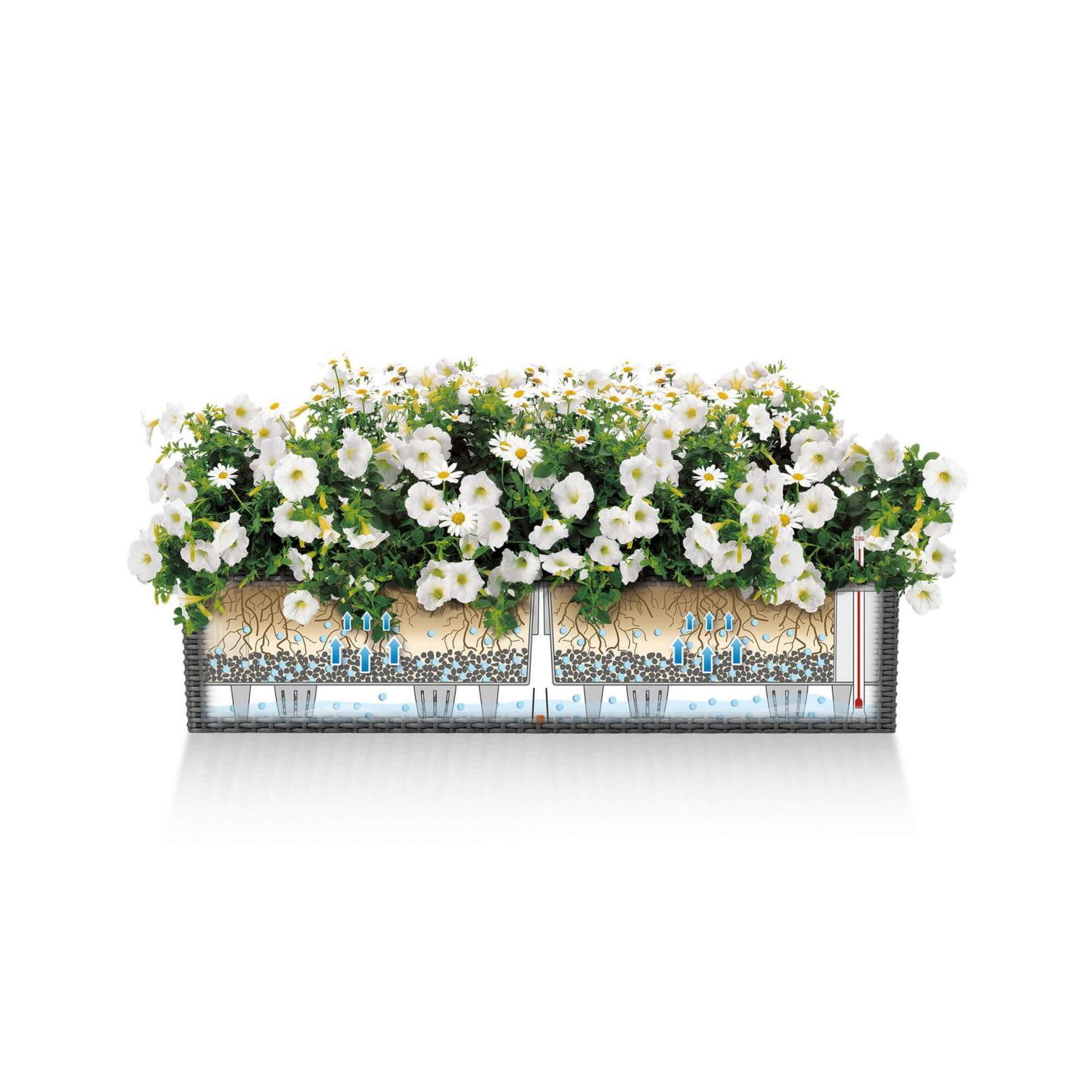 LECHUZA BALCONERA Cottage Trough Poly Resin Self-watering Planter Set