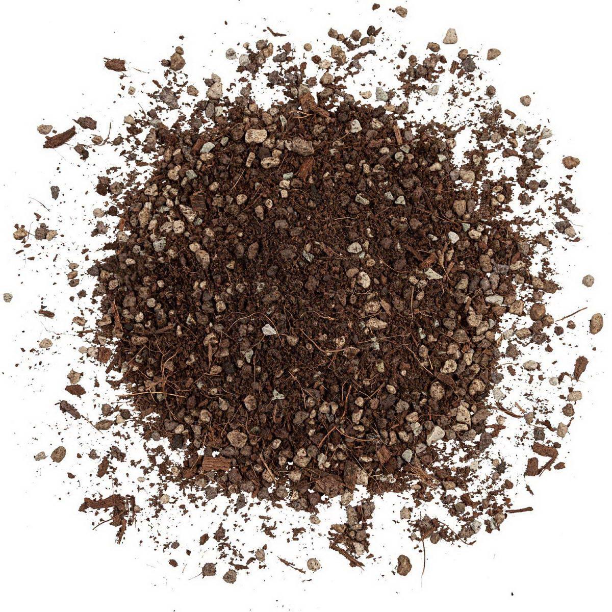 LECHUZA VEGGIEPON Organic Peat-Free Potting Compost for Vegetables Growing