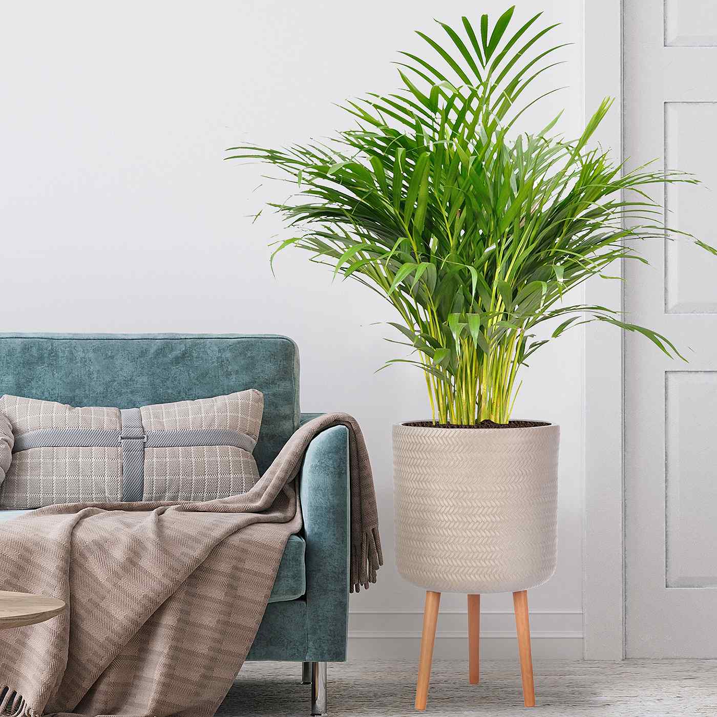 IDEALIST Lite Plaited Style Cylinder Planter on Legs, Round Pot Plant Stand Indoor